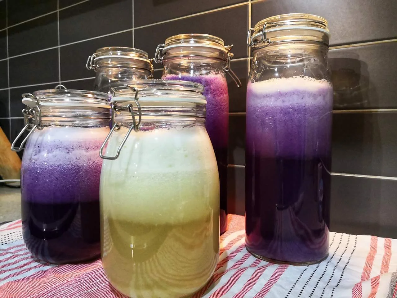 jilly juice 5.jpg