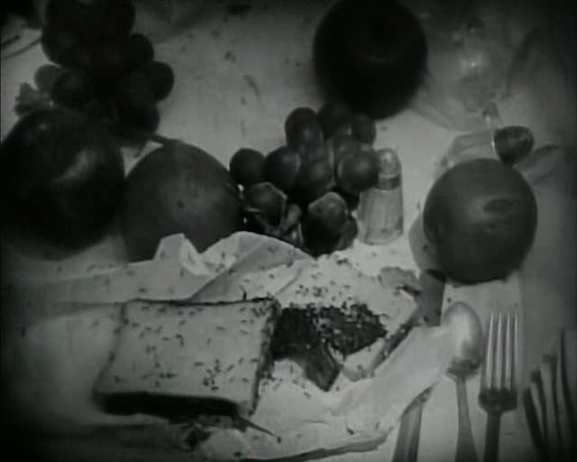vlcsnap-2010-12-16-14h17m50s137.png