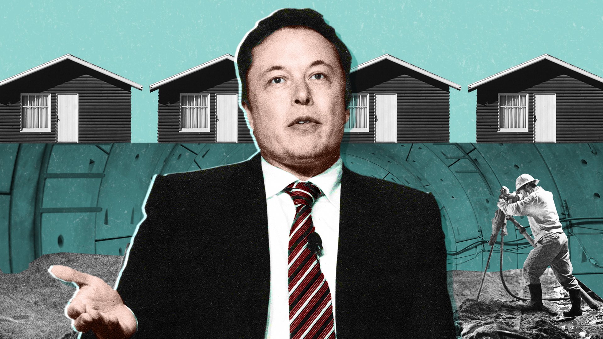 musk5.jpg