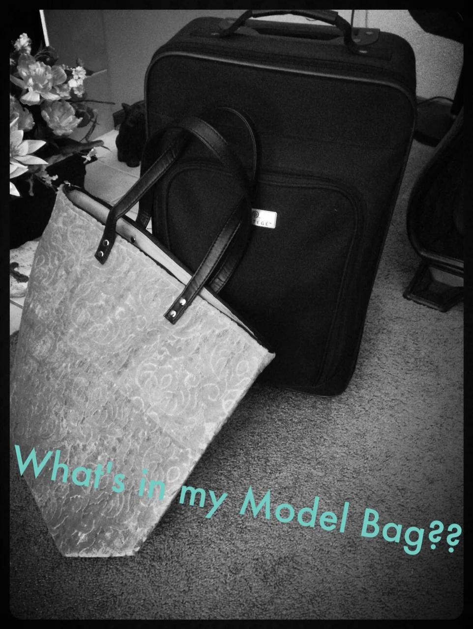 What's in My Model Bag