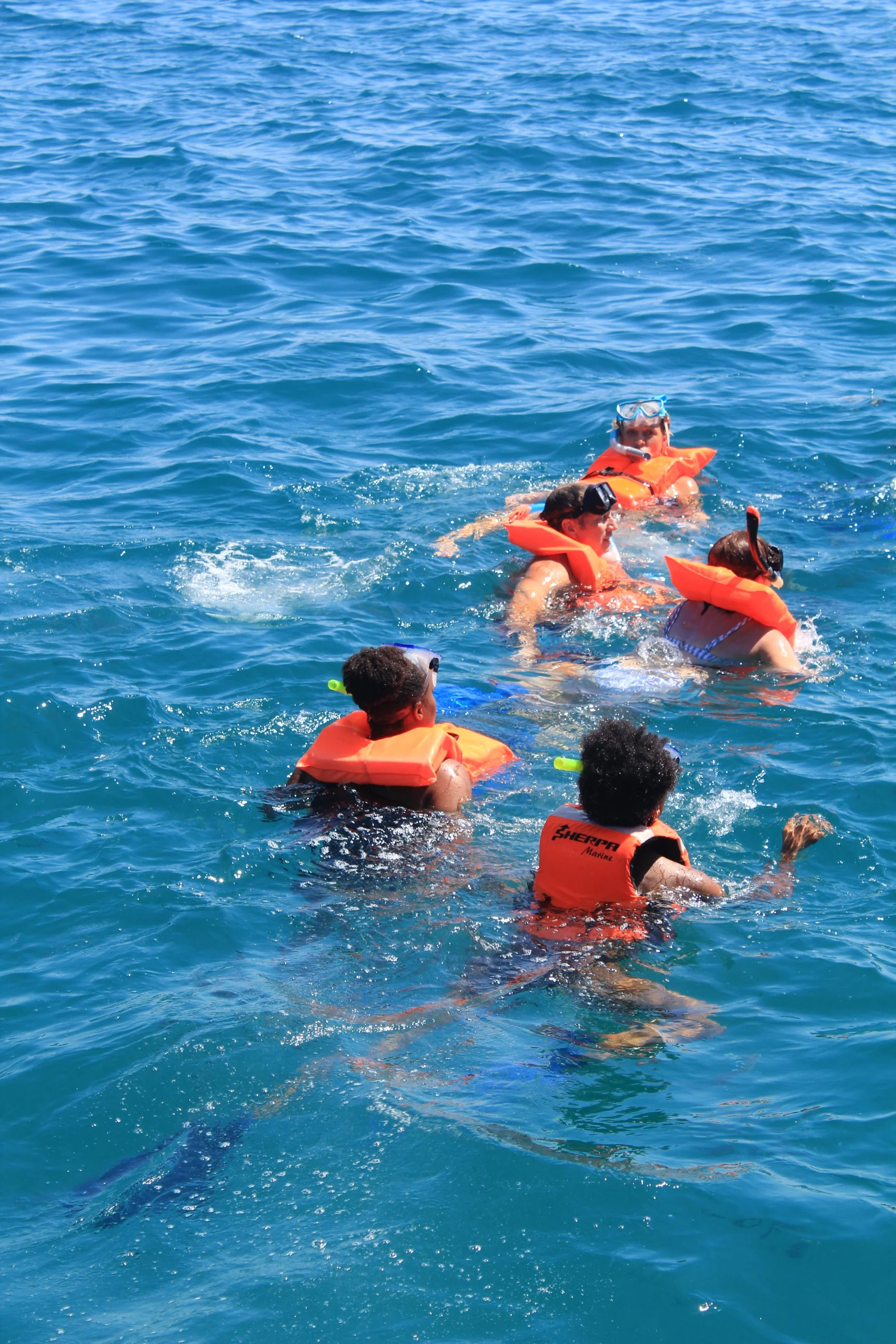 We jumped off of the side of the boat into the water!!! then off we went... I saw all different kinds of Fish and they swim right up to you. it was so crazy being in the middle of the Ocean. Swimming back to the boat was rough, but it was a cool experience!!