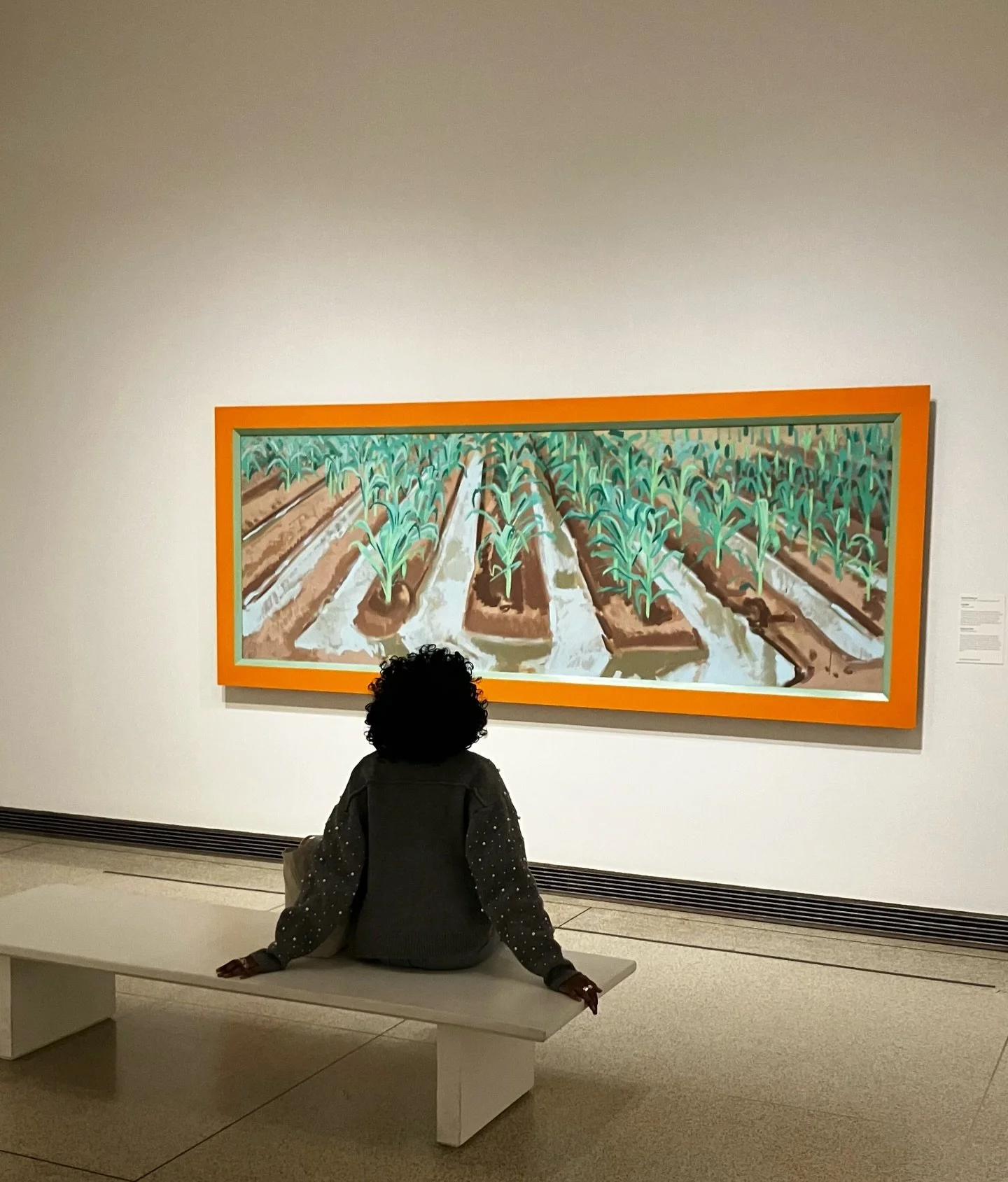 Did you know that the @sandiegomuseumofart is celebrating 100 years this year!!! They have tons of community events that are planned to celebrate throughout 2026 🎉🎉

Follow @sandiegomuseumofart to learn more ✨