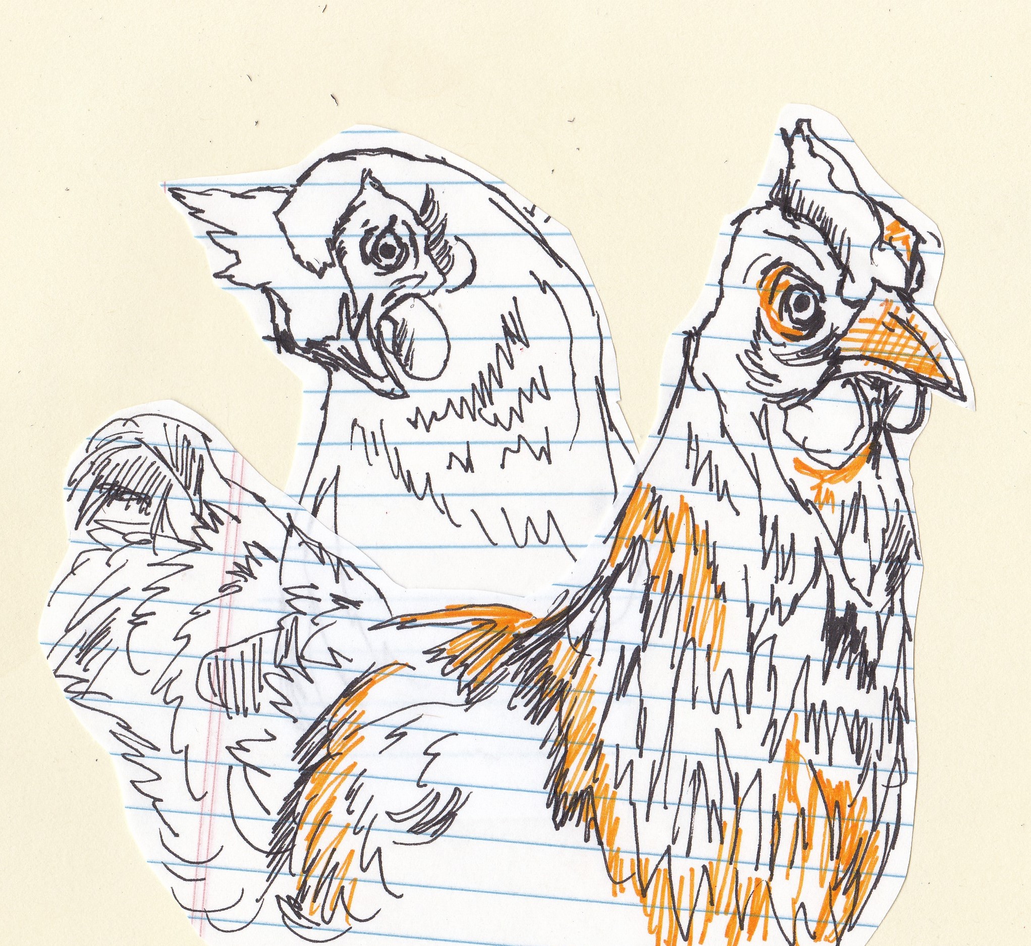 CHICKENS 31.jpg