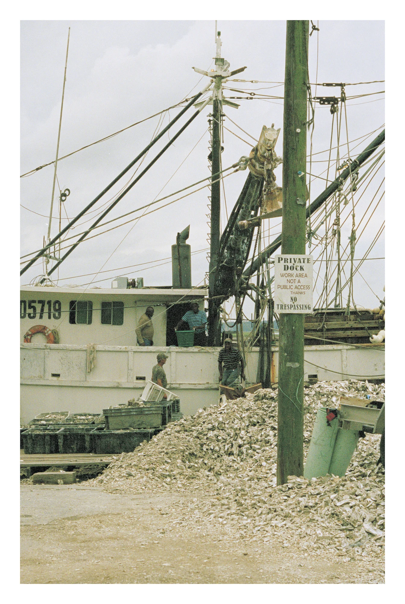 Fresh shrimp is unloaded at The Bluffton Oyster Factory which employs lifelong oyster fishers and shuckers many over the age 65 and descendants of Gullah/ Geechee.
