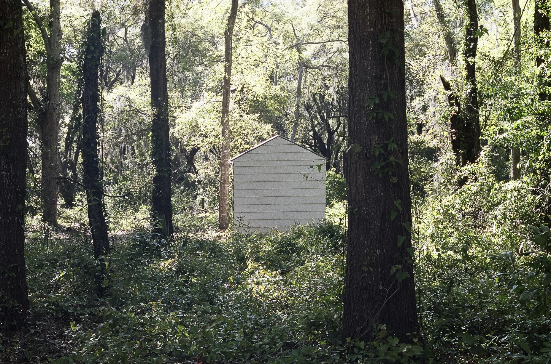 Mitchellville Historic Site is the former location of the first self-governed town of freed slaves in America founded in 1862 after the civil war and emancipation of slaves.