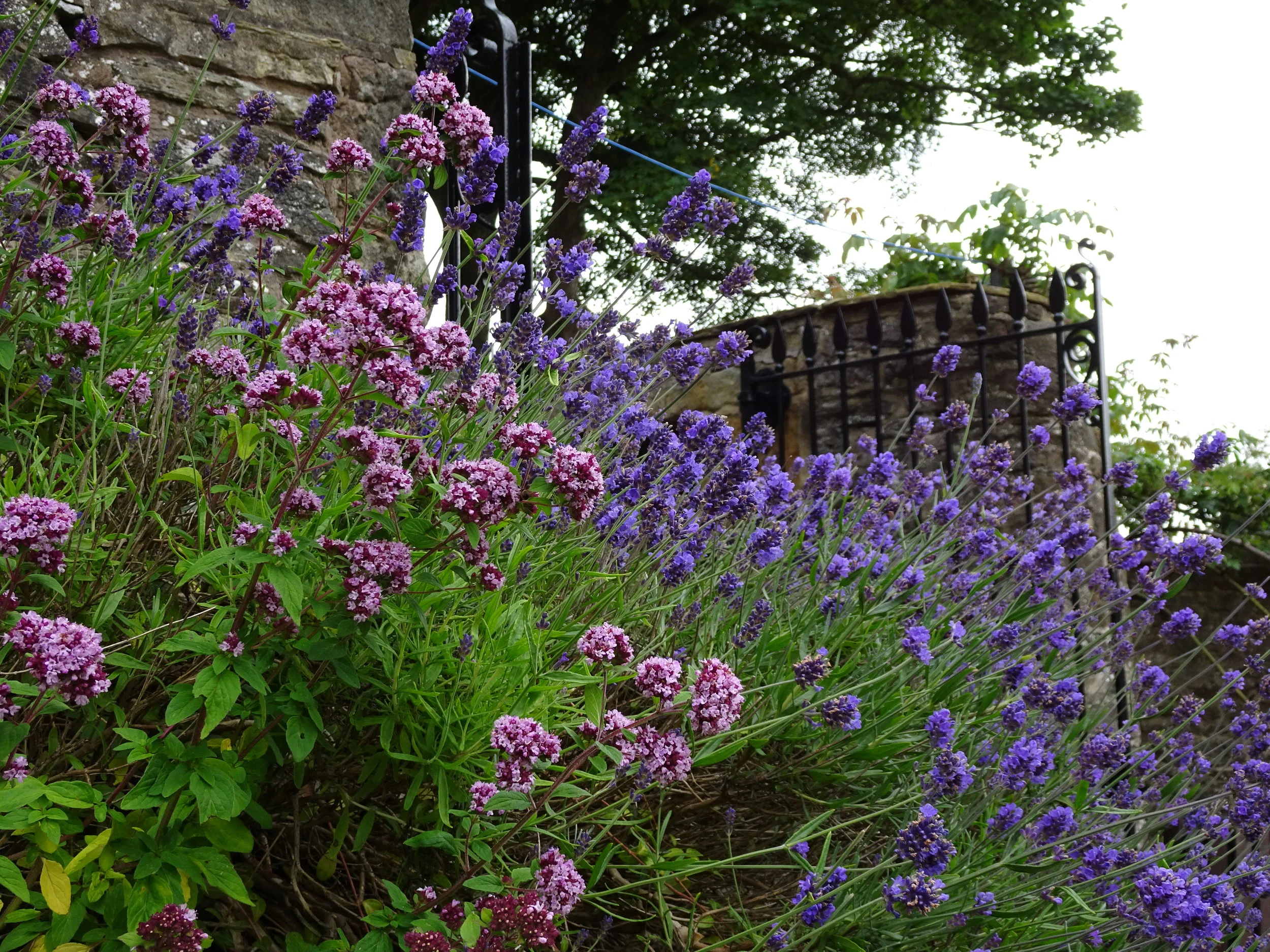 Copy of DSC00058.JPG