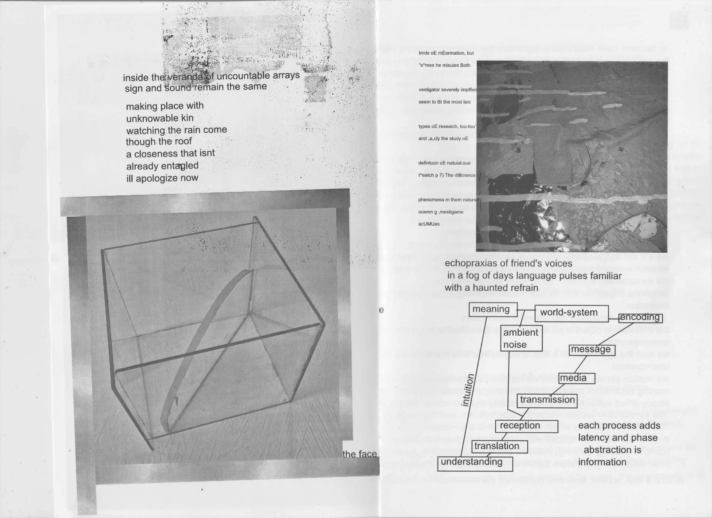 Image (10).jpg