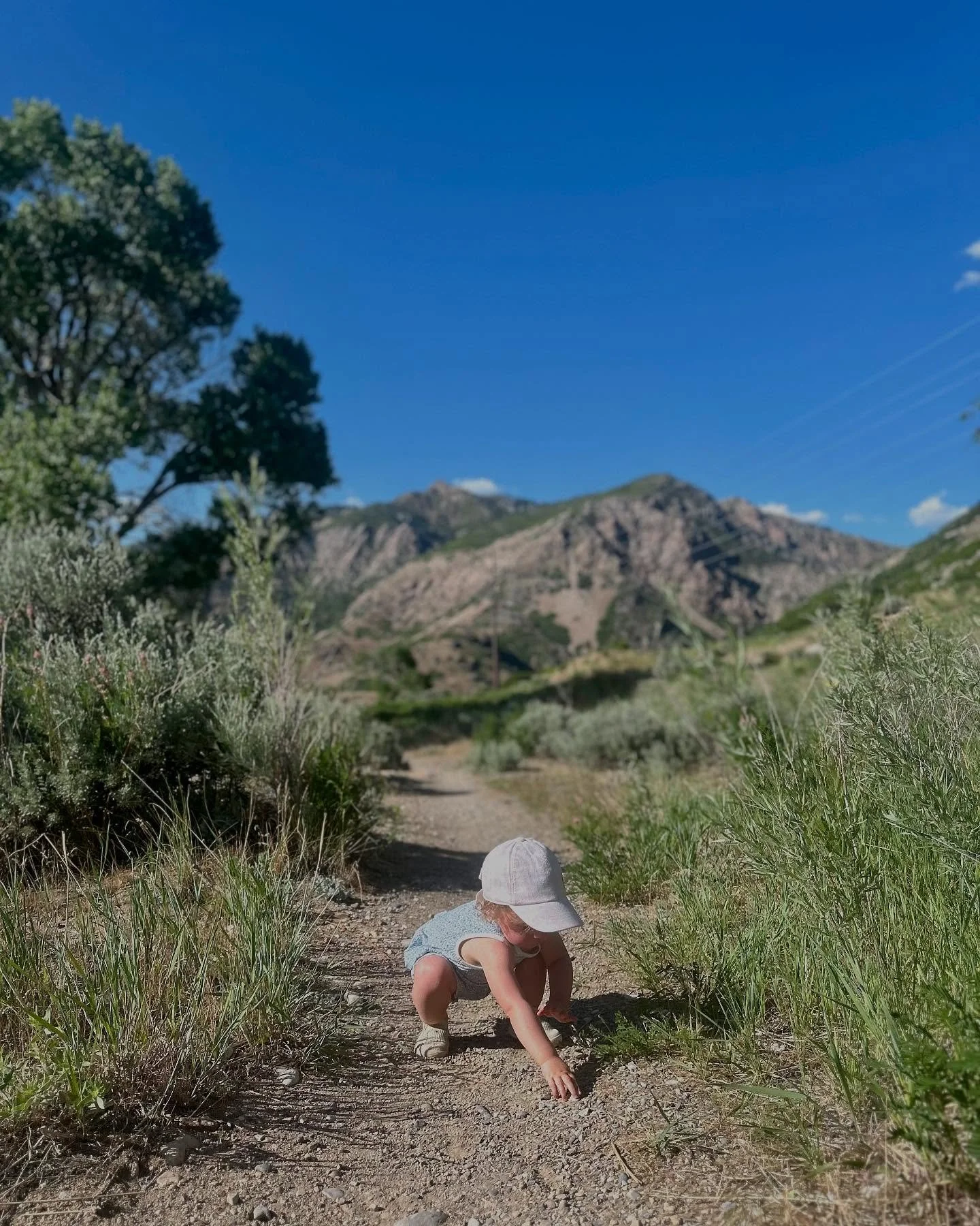 spring sliding right into summer // return of the backyard strawberries // my niece says my daughter&rsquo;s hair is rose gold and that is staying with me ✨