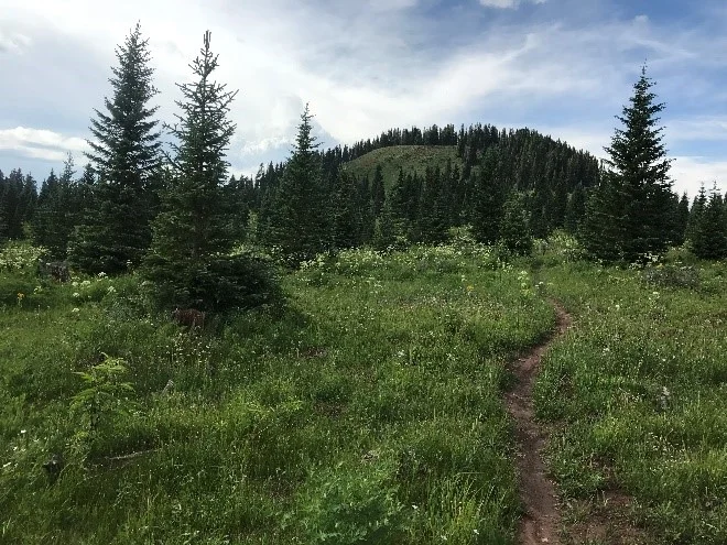 trail.jpg