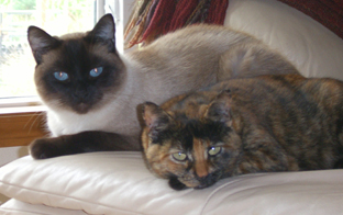Bailey and Randi Rhodes