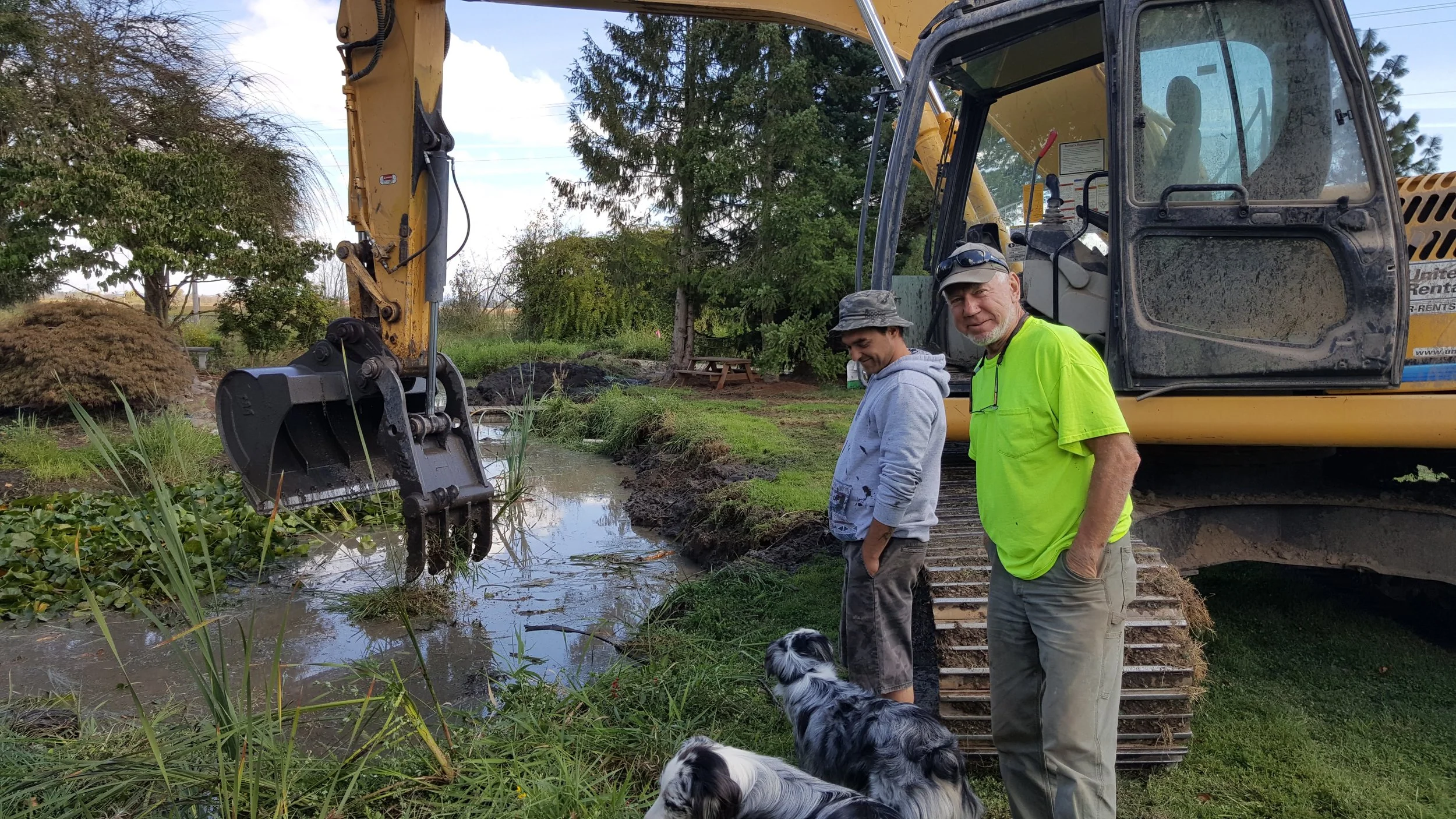 Cleaning pond with excavator.