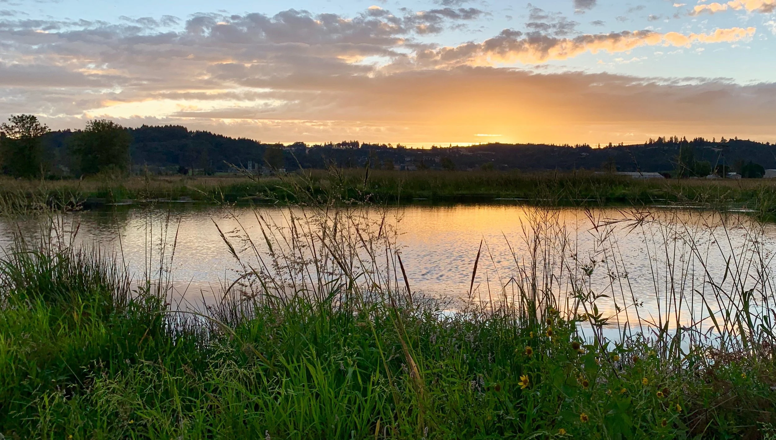 andys photo of ponds.JPG