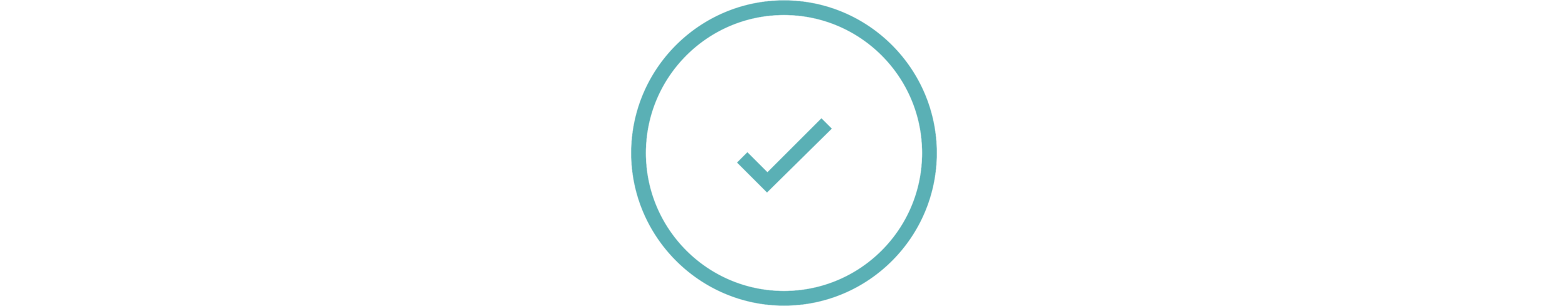 checkmark2-noun_196555_5ab0b5.png