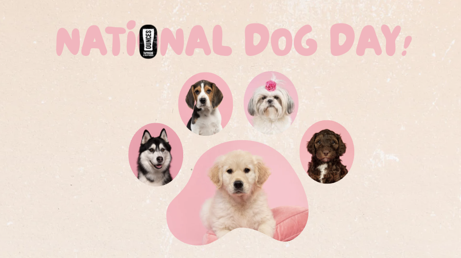 National Dog Day!