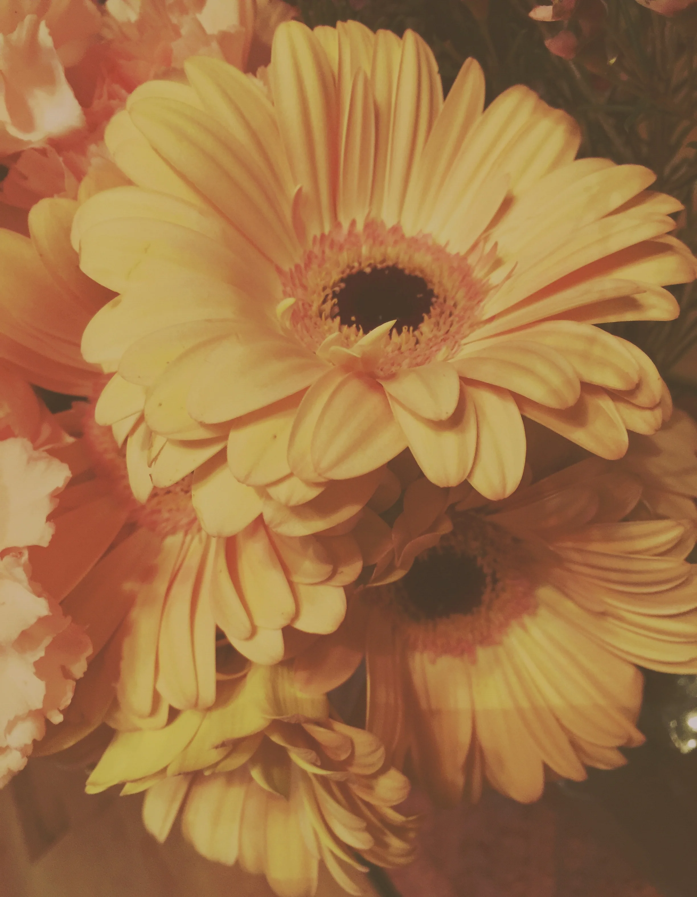 Enlight1 2.jpg