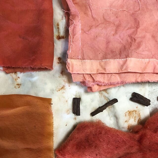 Madder magic results from today&rsquo;s tutorial with @localclothinc ! We had a great time dyeing along virtually with participants from all over North America. While there are challenges in developing an online hands on workshop the accessibility ma