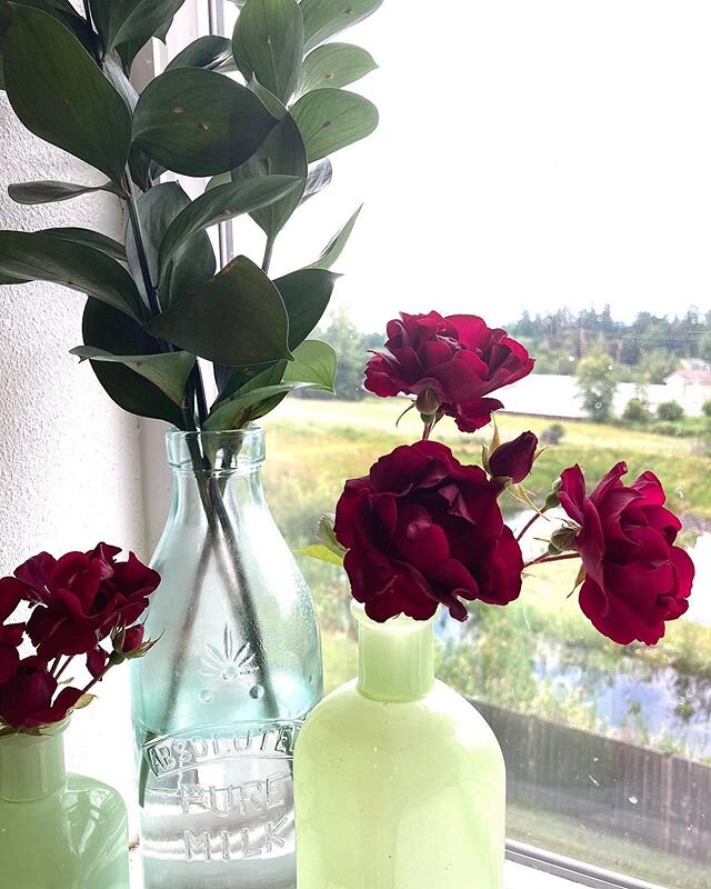 These have been some hard, hard days. These roses are from a wild rose bush in our front yard. I keep snipping them and bringing them inside to sit in my kitchen window sill so I can enjoy their beauty and vibrant color. They make me think of Jesus&r