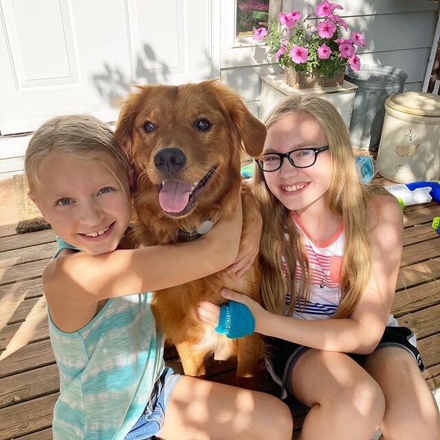 Yesterday we celebrated Bailey&rsquo;s first birthday! Of course, the girls made him his own cake and gave him lots of love ❤️ #bailey #redgoldenretriever