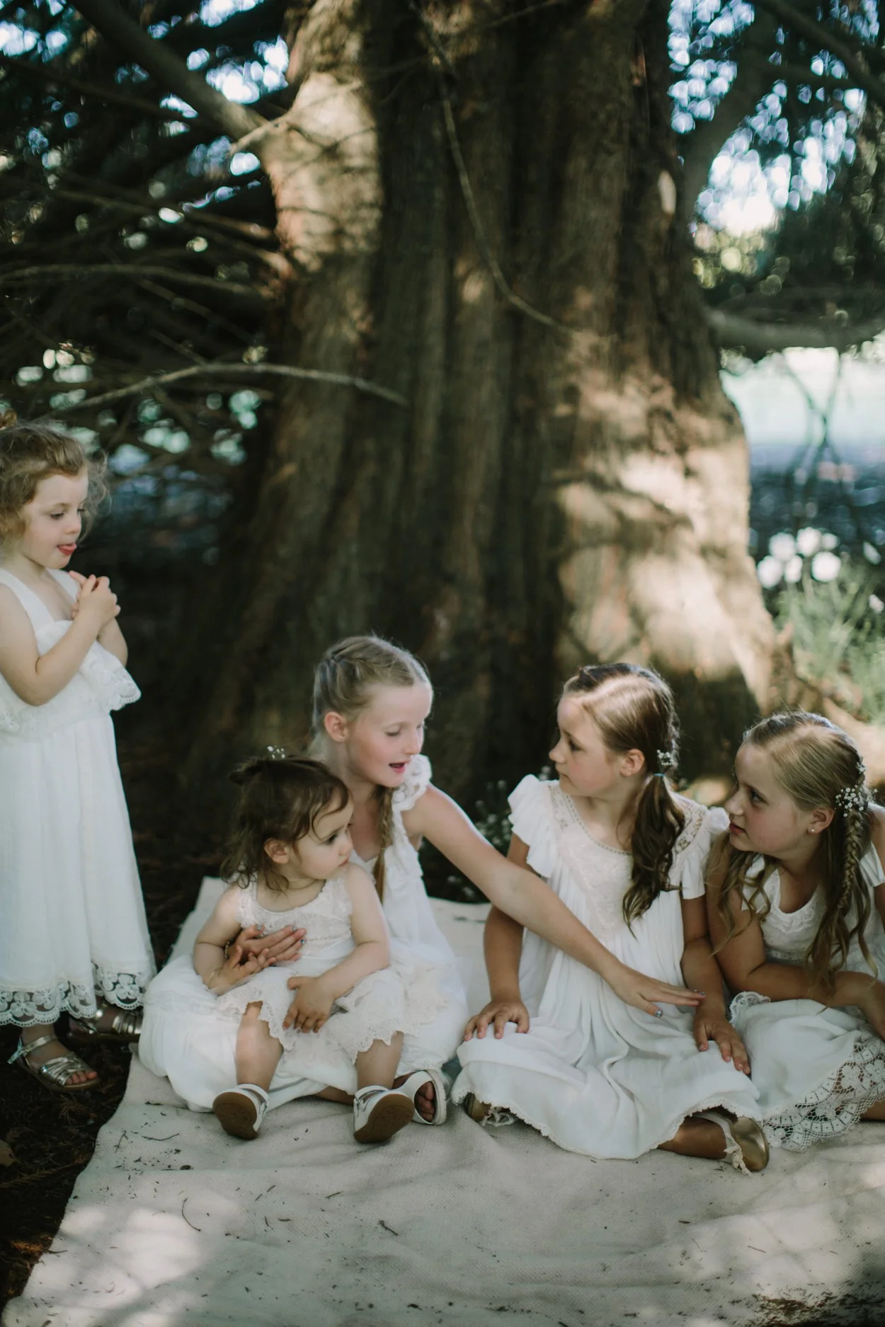 I-Got-You-Babe-Weddings-Hawkes-Bay-NZ-Wedding-Aleisha-Rolly111.jpg