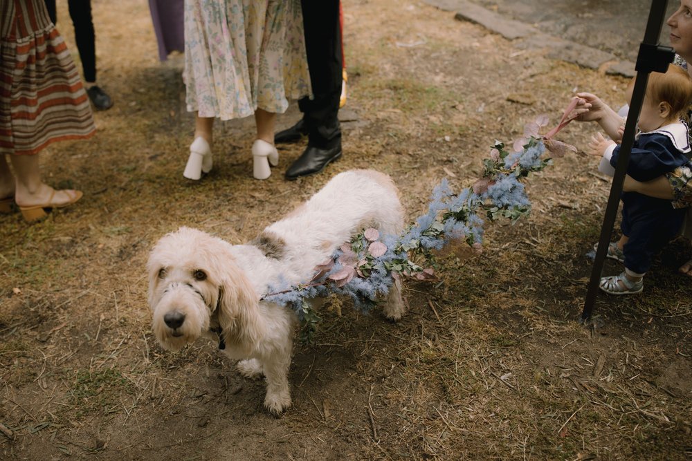 I_Got_You_Babe_Weddings_Ellen&Oscar_Fairfield_Boathouse_Stray_Neighbour_0100.JPG