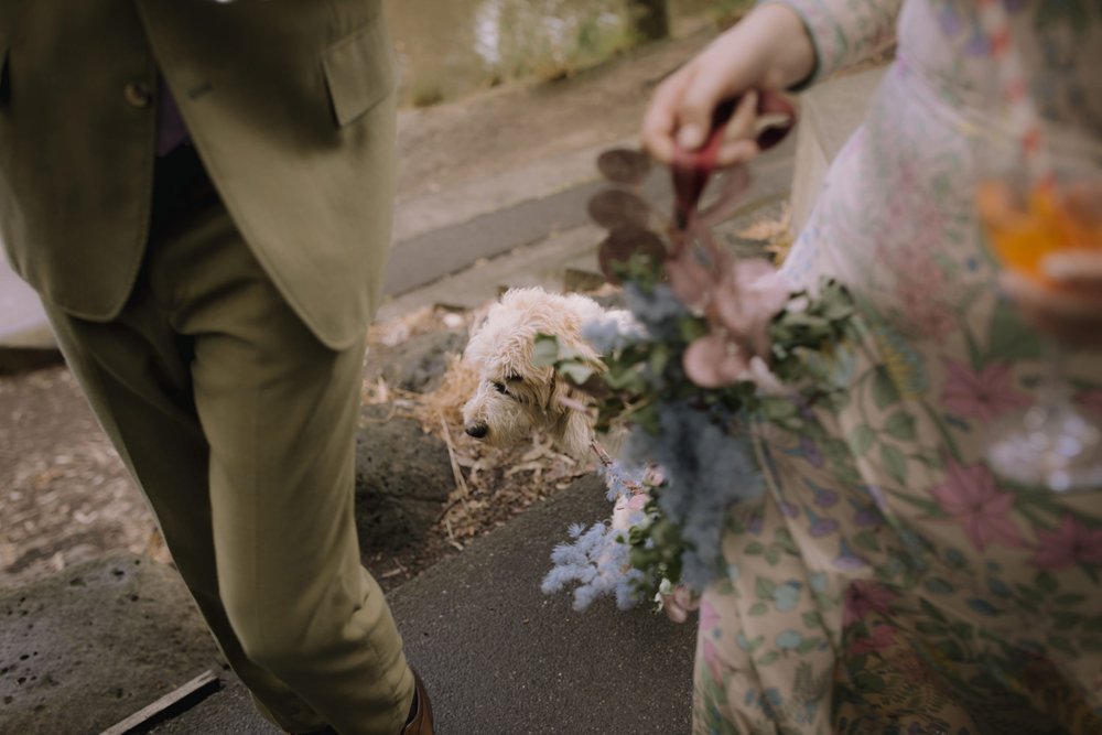 I_Got_You_Babe_Weddings_Ellen&Oscar_Fairfield_Boathouse_Stray_Neighbour_0113.JPG