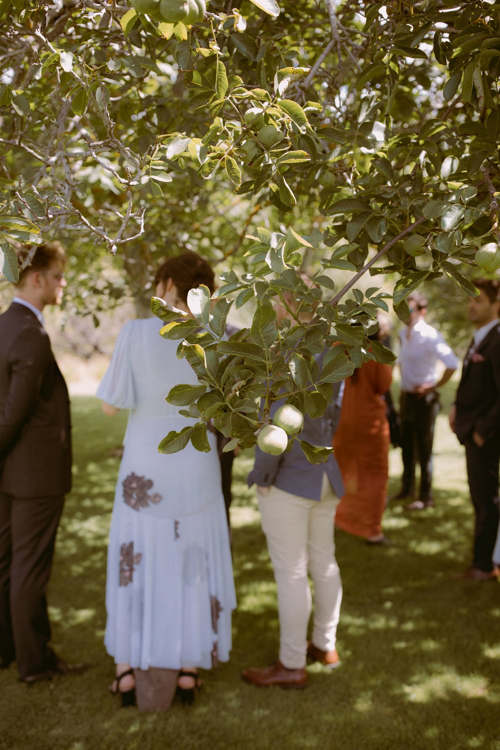 I_Got_You_Babe_Weddings_Georgina_and_Andrew_New_Norfolk_Tasmania_Wedding_0047.JPG