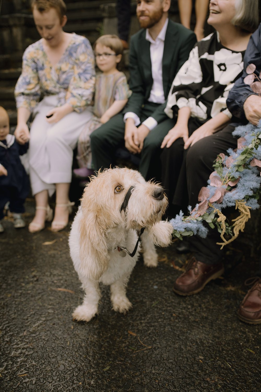 I_Got_You_Babe_Weddings_Ellen&Oscar_Fairfield_Boathouse_Stray_Neighbour_0203.jpg