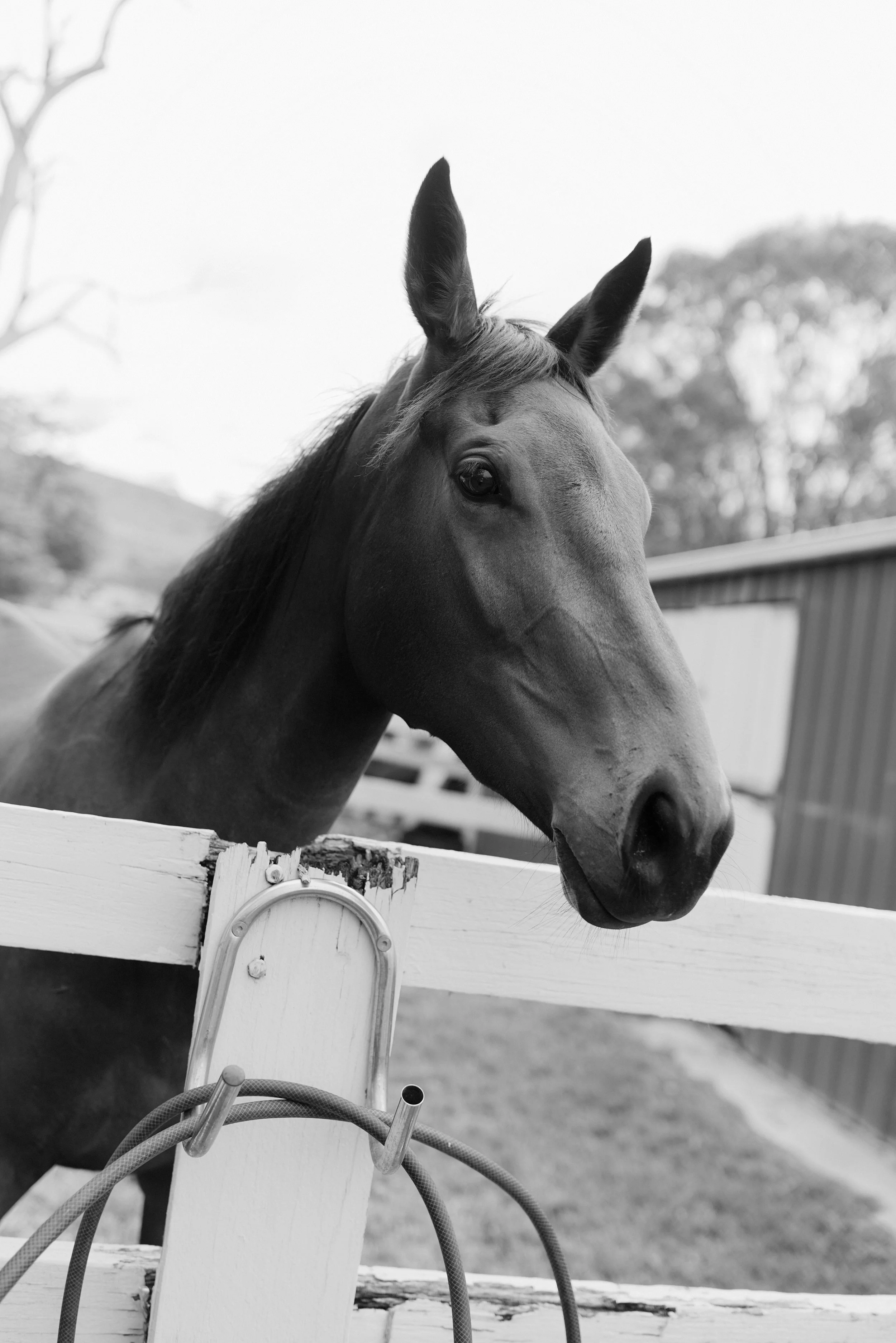 I_Got_You_Babe_Weddings_Laura&Ben_Farm_Property_0151.jpg