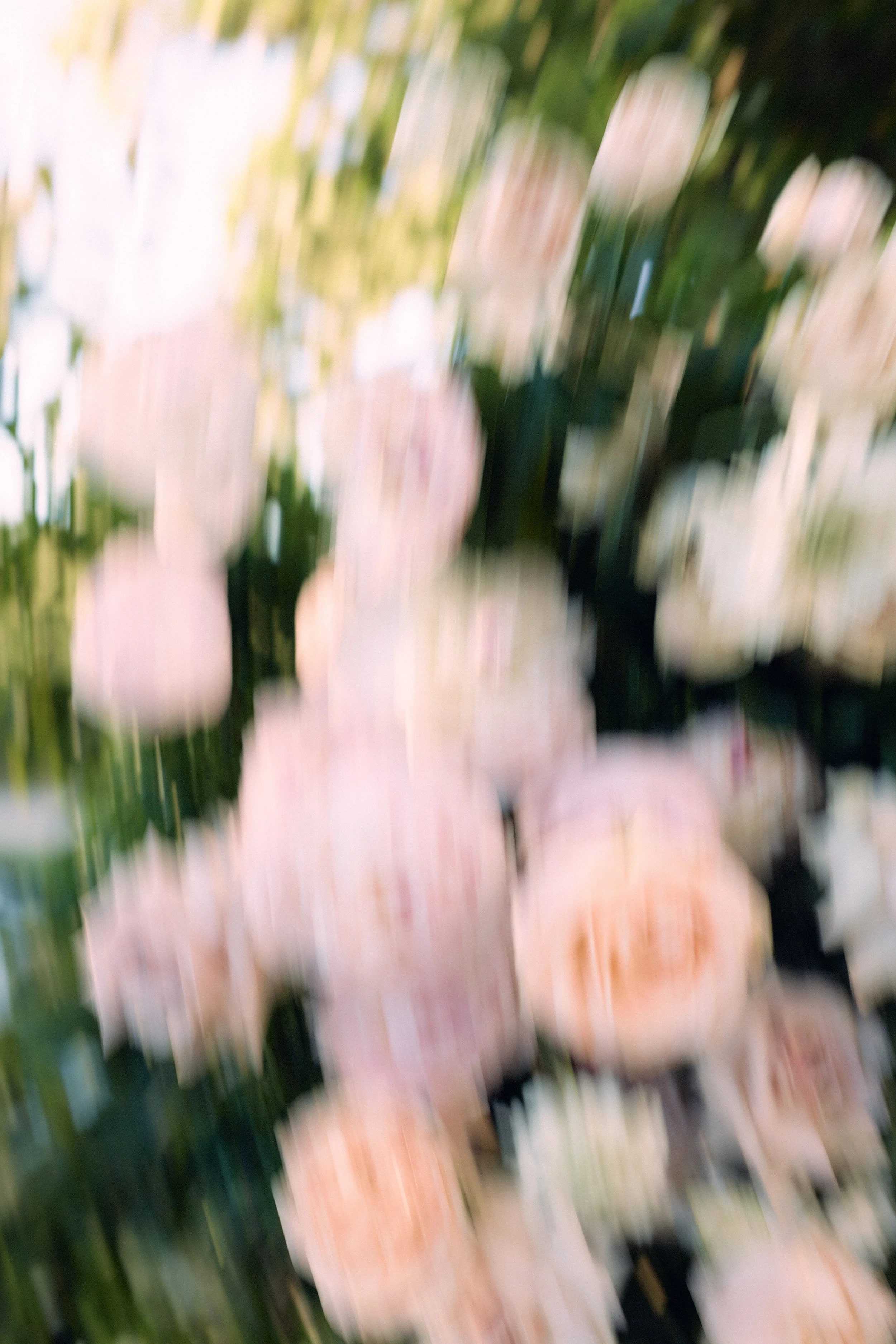 I_Got_You_Babe_Weddings_Melbourne_Photographer_07.JPG