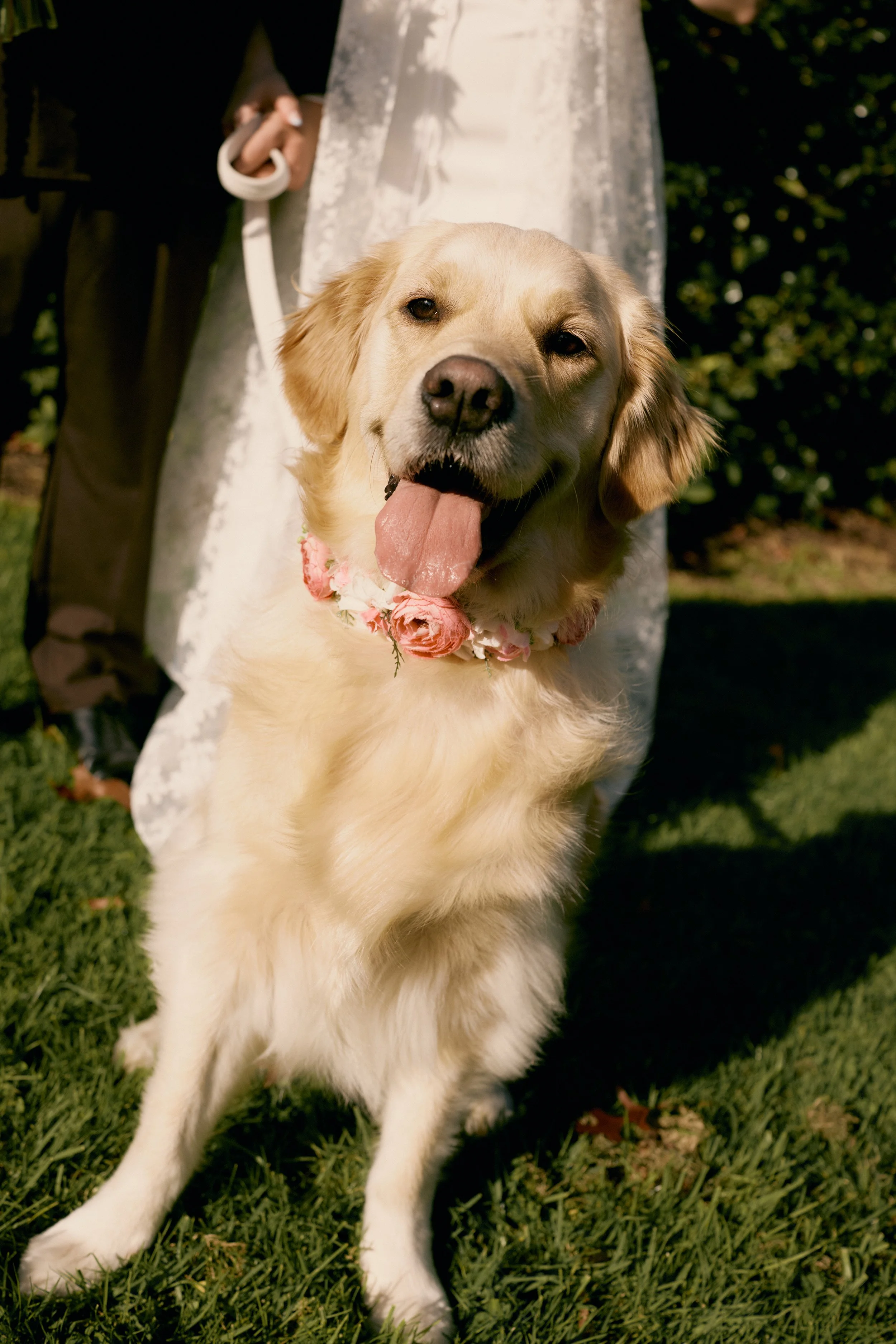 I_Got_You_Babe_Weddings_Tash&Chris_AltarElectric_OPL_Wedding_0322.jpg