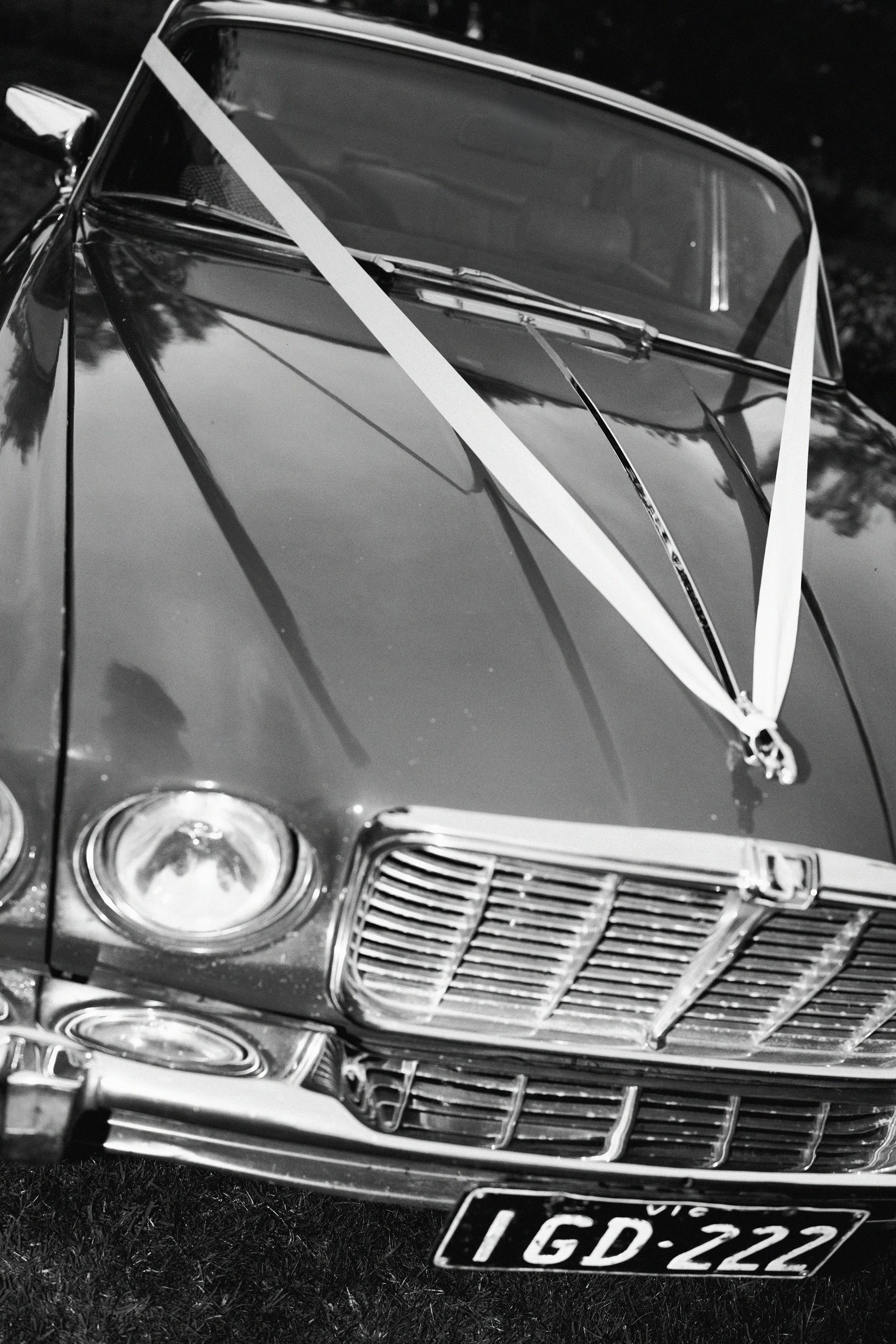 I_Got_You_Babe_Weddings_Katrina&Cam_Butterland_Wedding_1237.jpg
