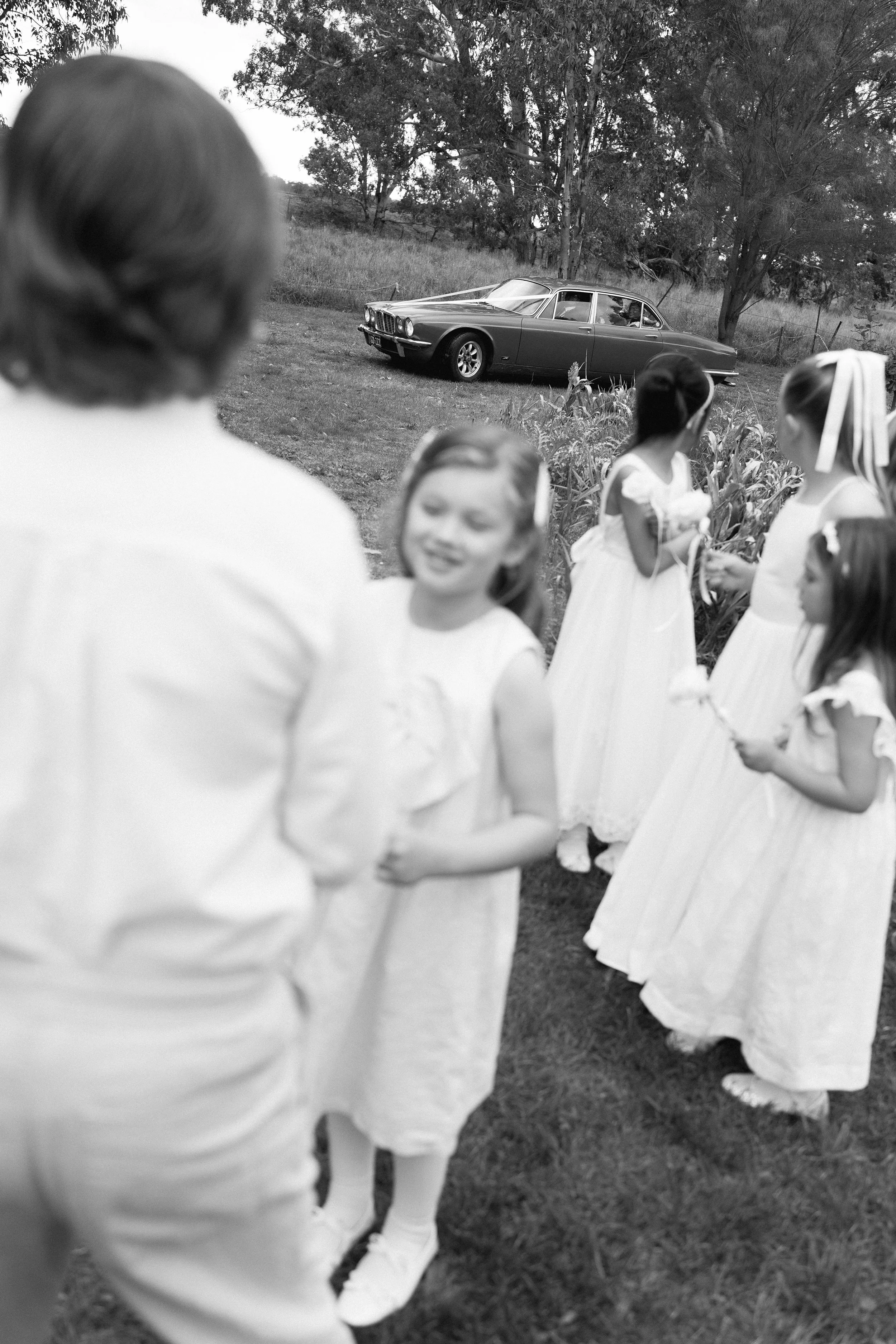 I_Got_You_Babe_Weddings_Katrina&Cam_Butterland_Wedding_0319.jpg