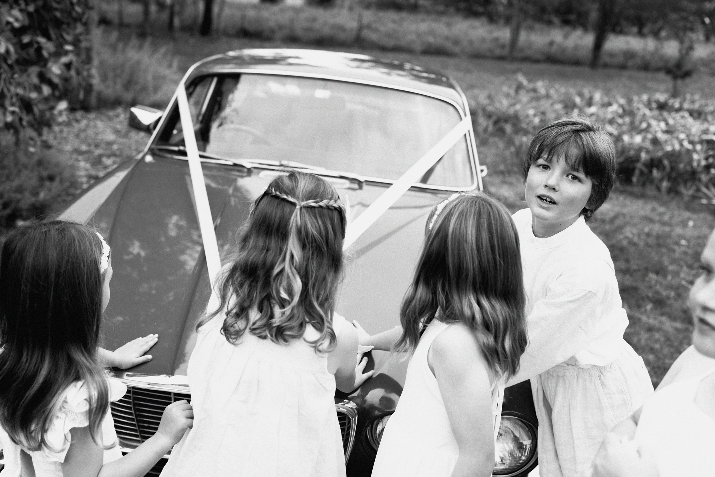 I_Got_You_Babe_Weddings_Katrina&Cam_Butterland_Wedding_0611.jpg