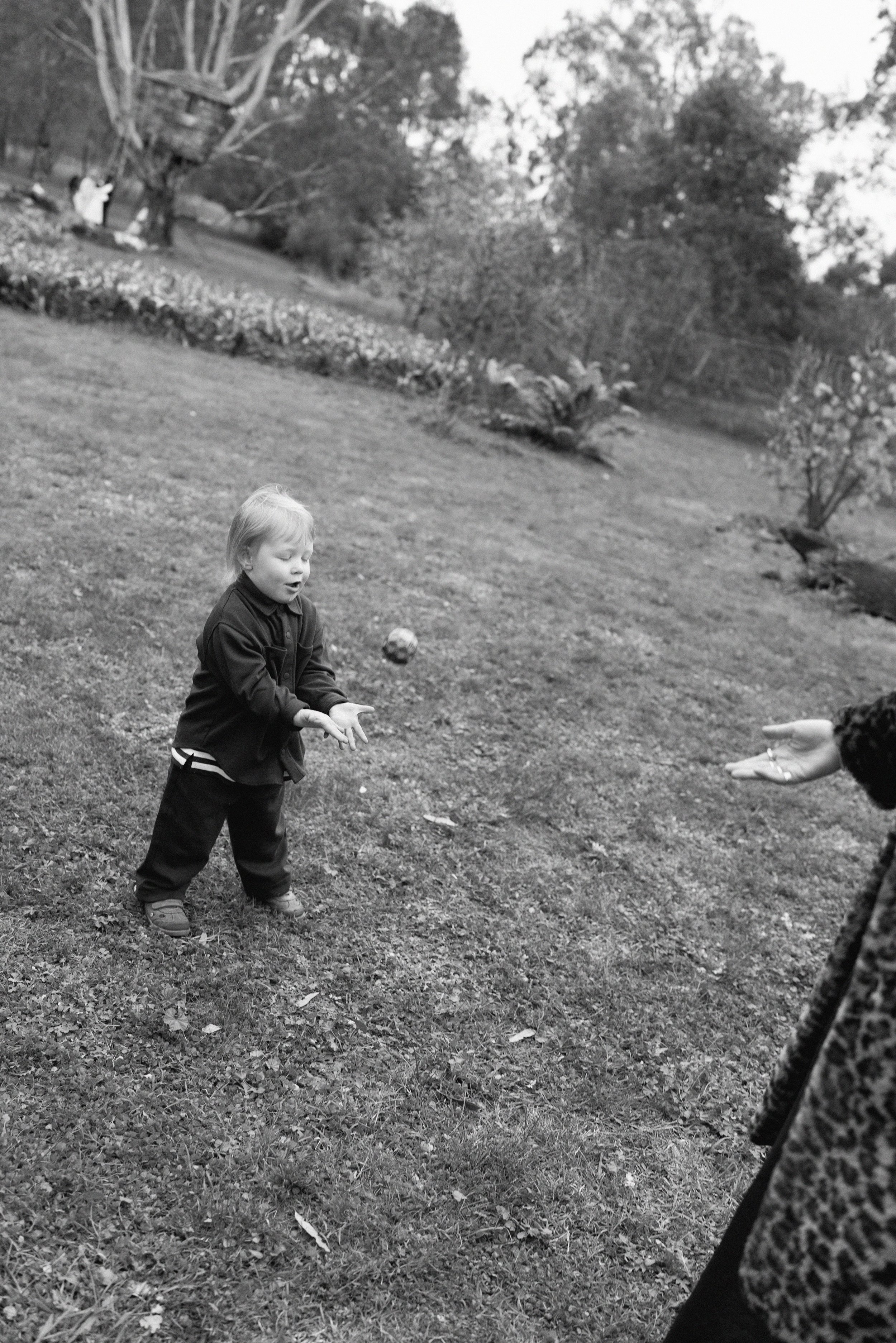 I_Got_You_Babe_Weddings_Katrina&Cam_Butterland_Wedding_1149.jpg