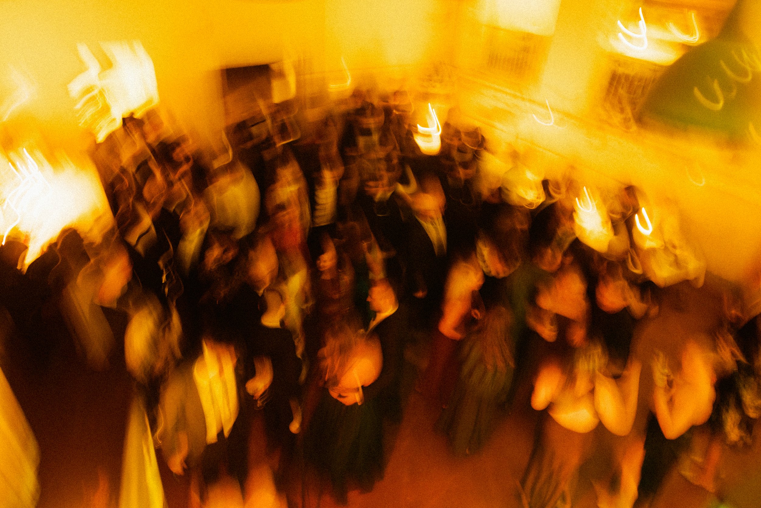 I_Got_You_Babe_Weddings_Katrina&Cam_Butterland_Wedding_1708.jpg