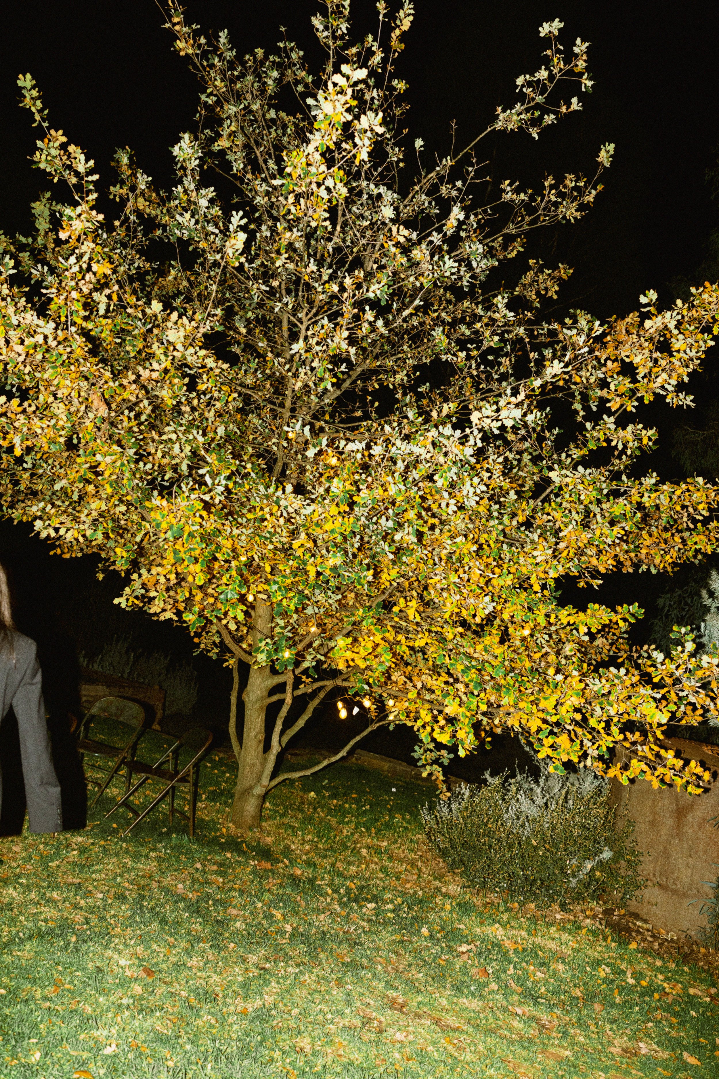 I_Got_You_Babe_Weddings_Katrina&Cam_Butterland_Wedding_1527.jpg