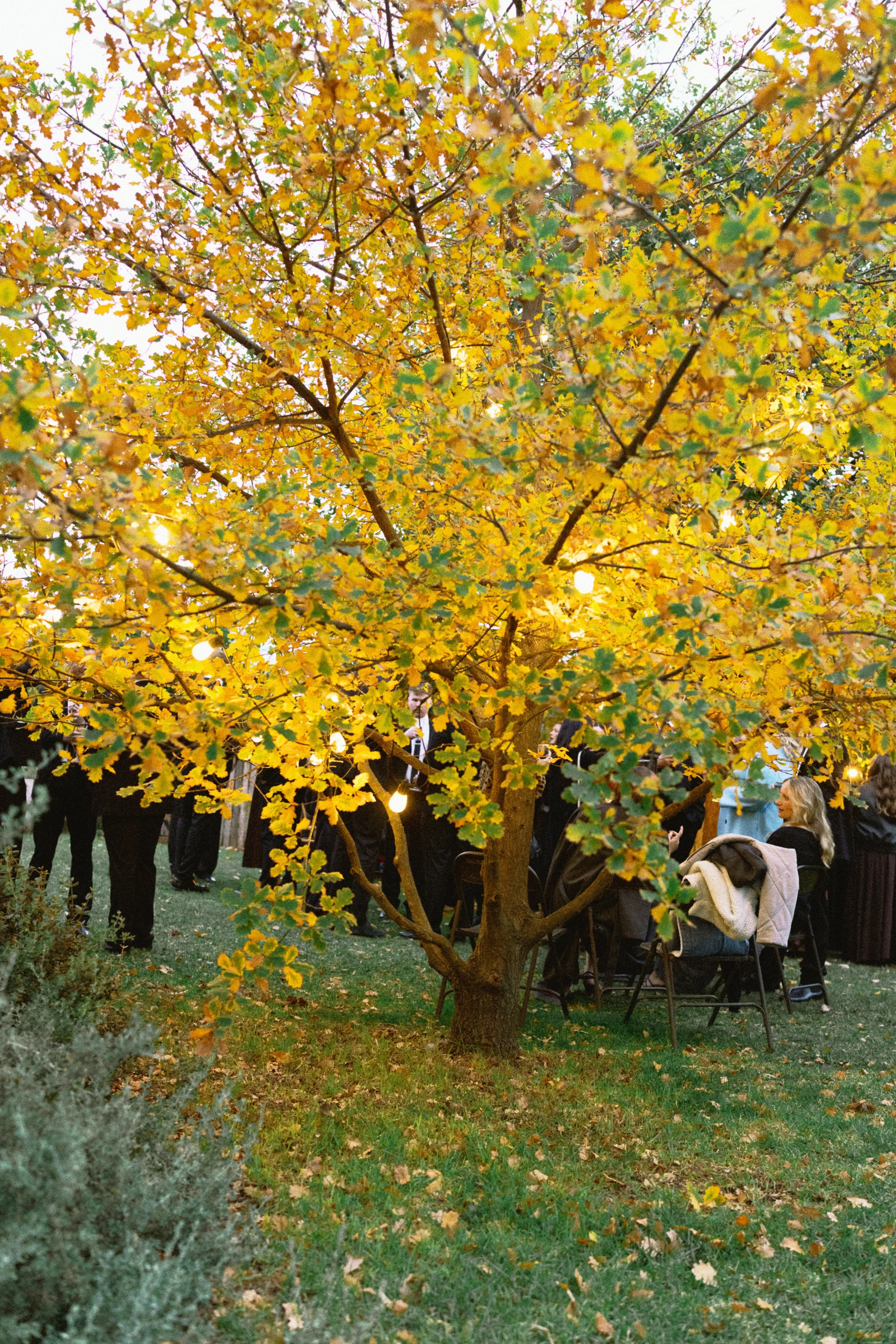 I_Got_You_Babe_Weddings_Katrina&Cam_Butterland_Wedding_1241.jpg