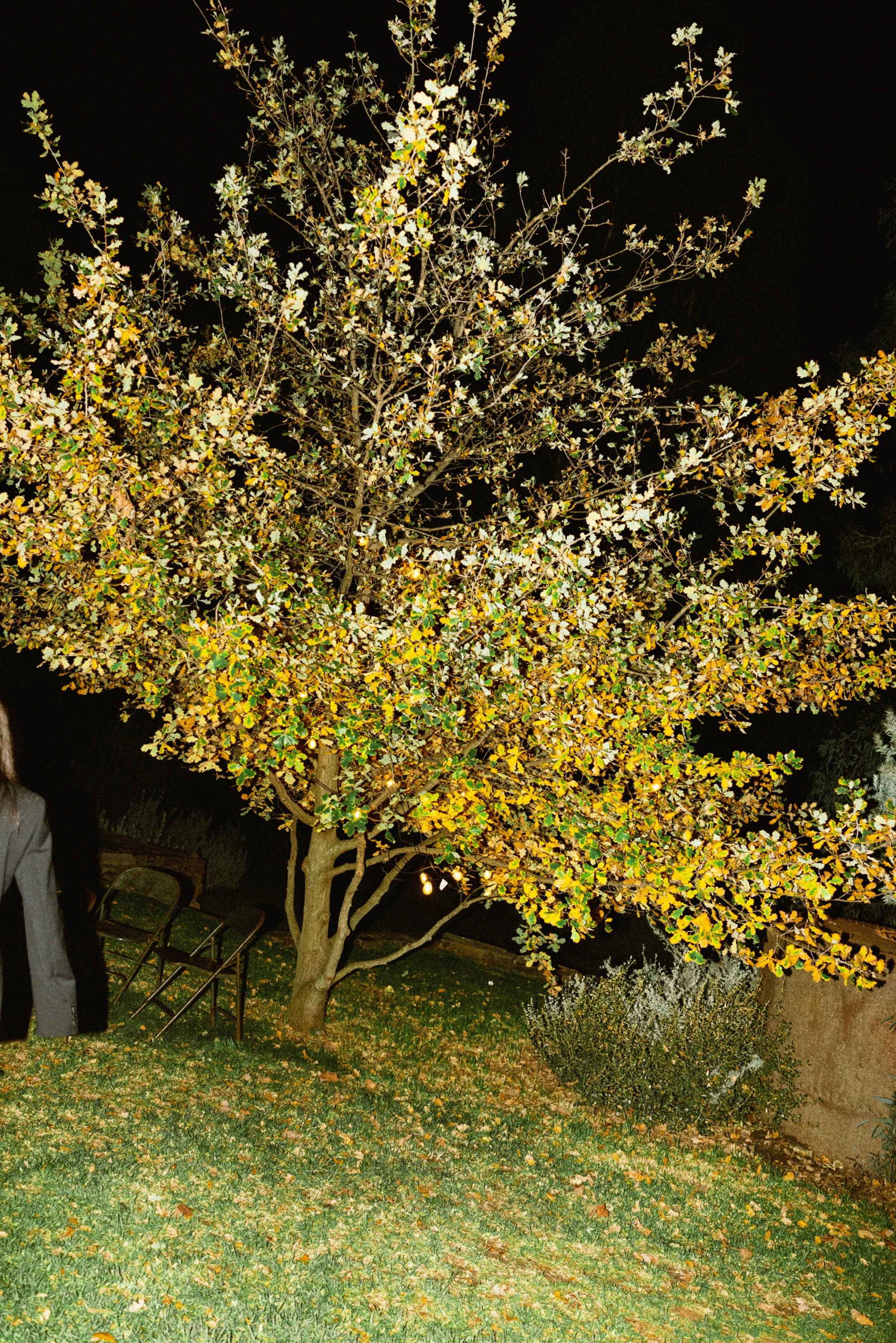 I_Got_You_Babe_Weddings_Katrina&Cam_Butterland_Wedding_1527.jpg