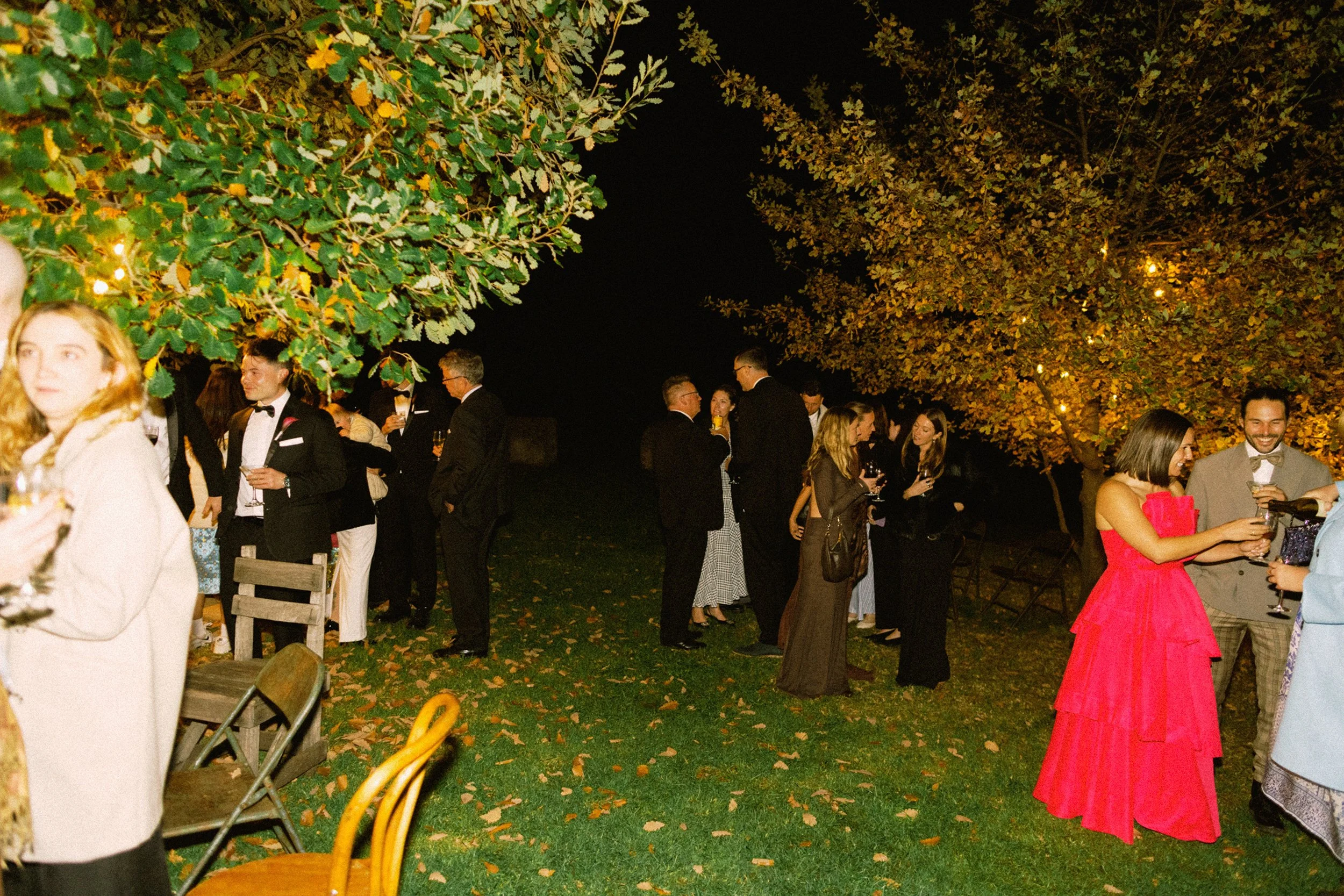 I_Got_You_Babe_Weddings_Katrina&Cam_Butterland_Wedding_1568.jpg