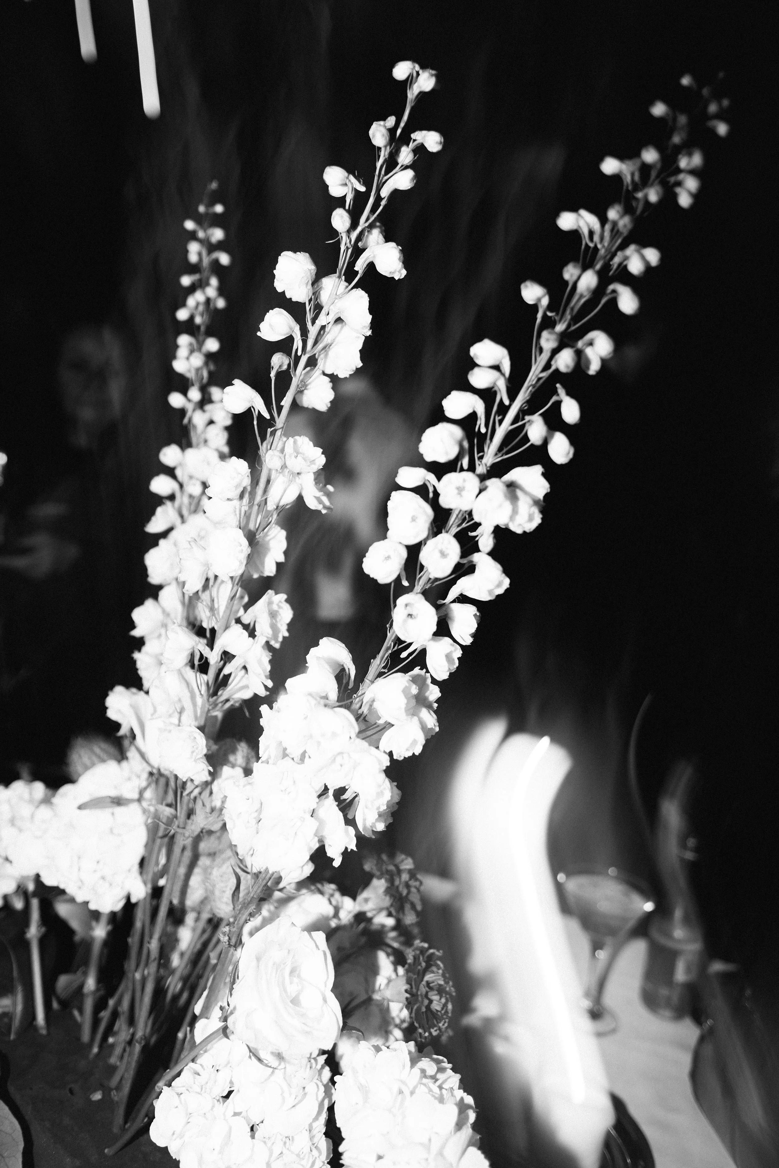 I_Got_You_Babe_Weddings_Katrina&Cam_Butterland_Wedding_1725.jpg