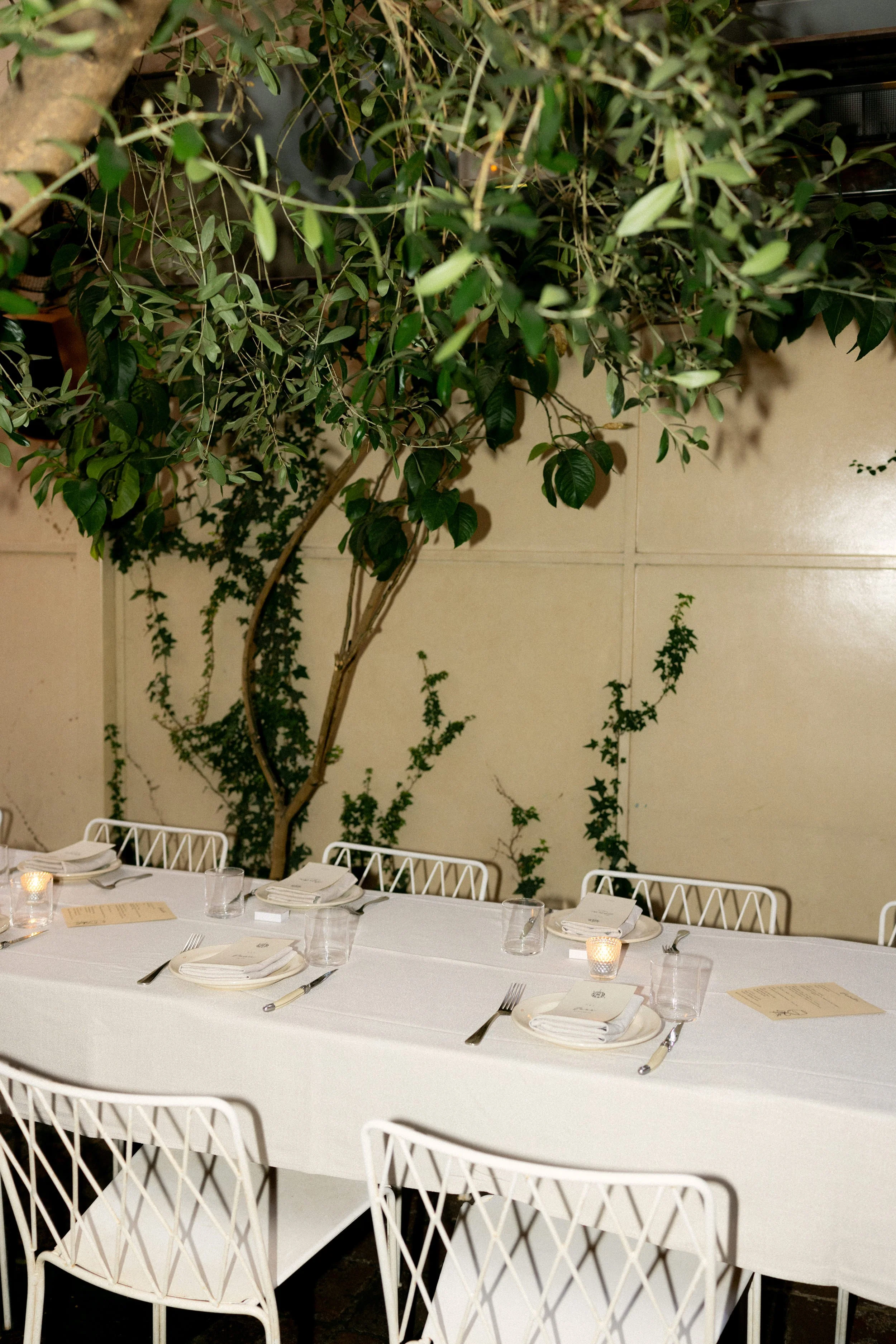 I_Got_You_Babe_Weddings_Thalia&Ned_Old_Palm_Liquor_0594.jpg