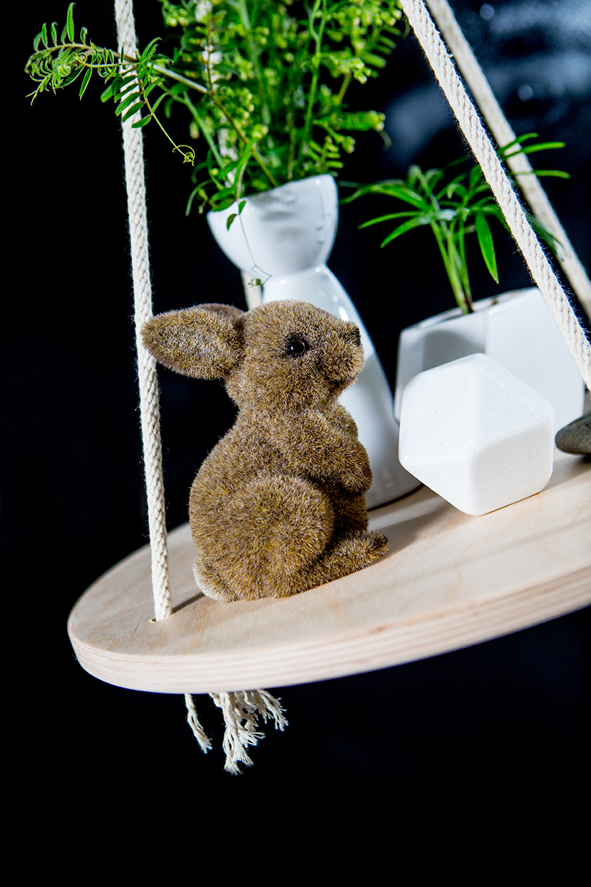 Hanging Shelf 1673.jpg