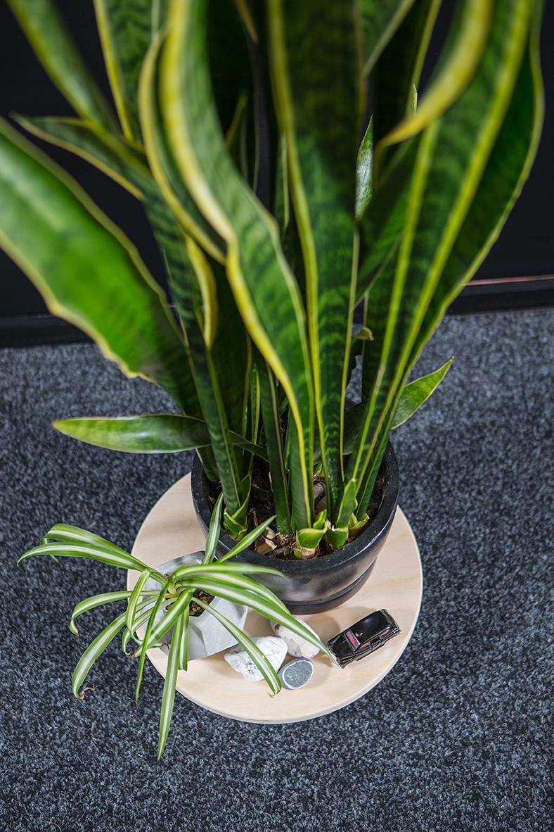 Pot Plant Stand 1693.jpg