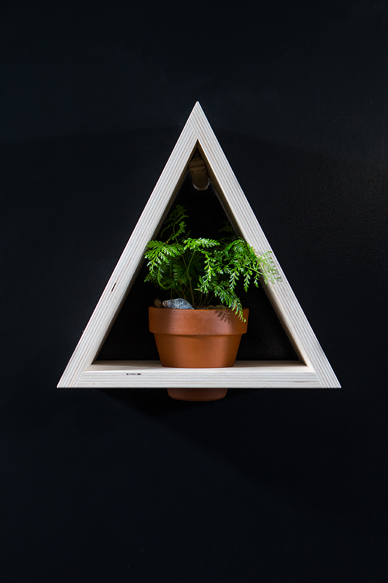 Triangle Shelf 1813.jpg