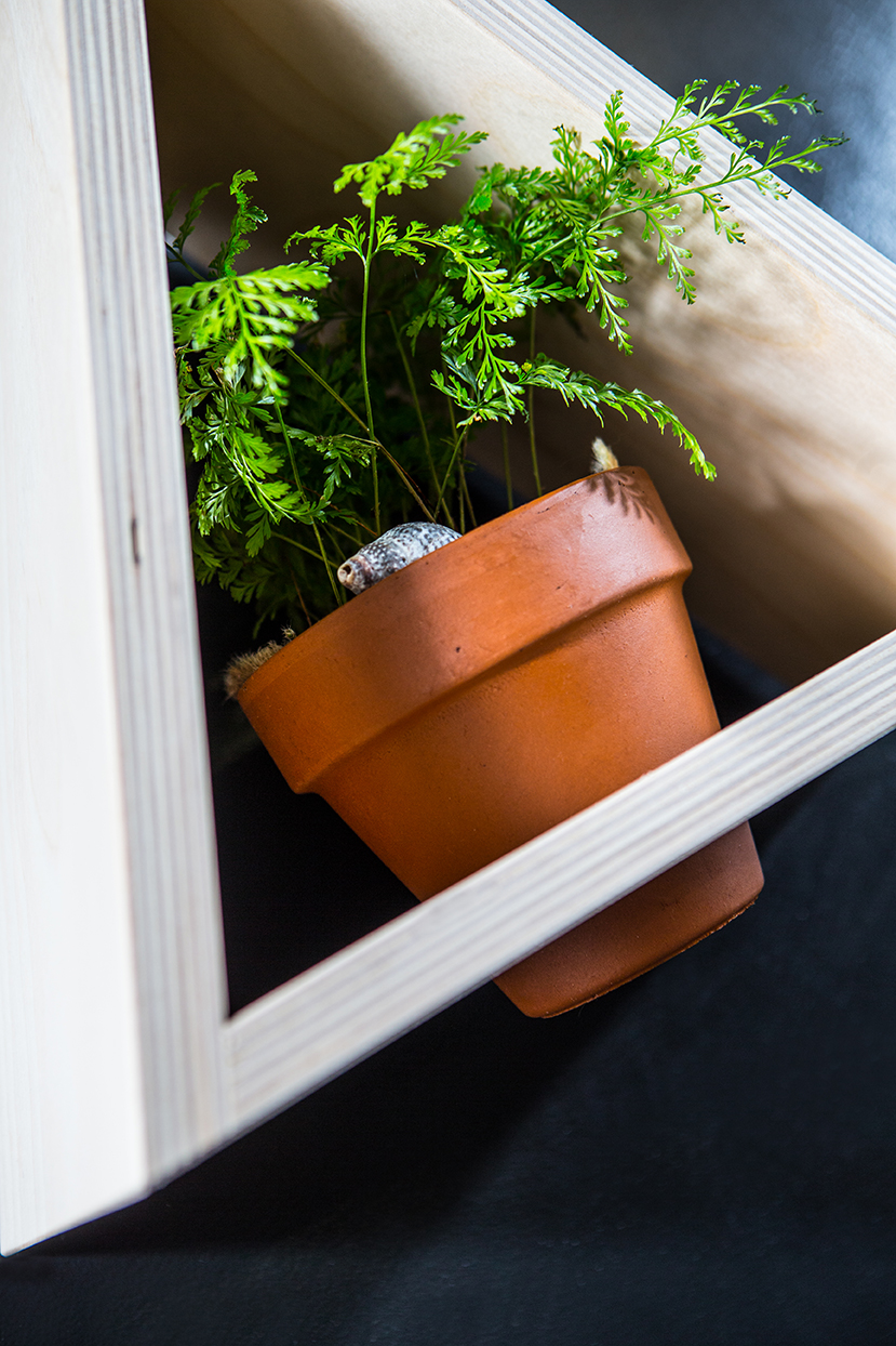 Triangle Shelf 1820.jpg