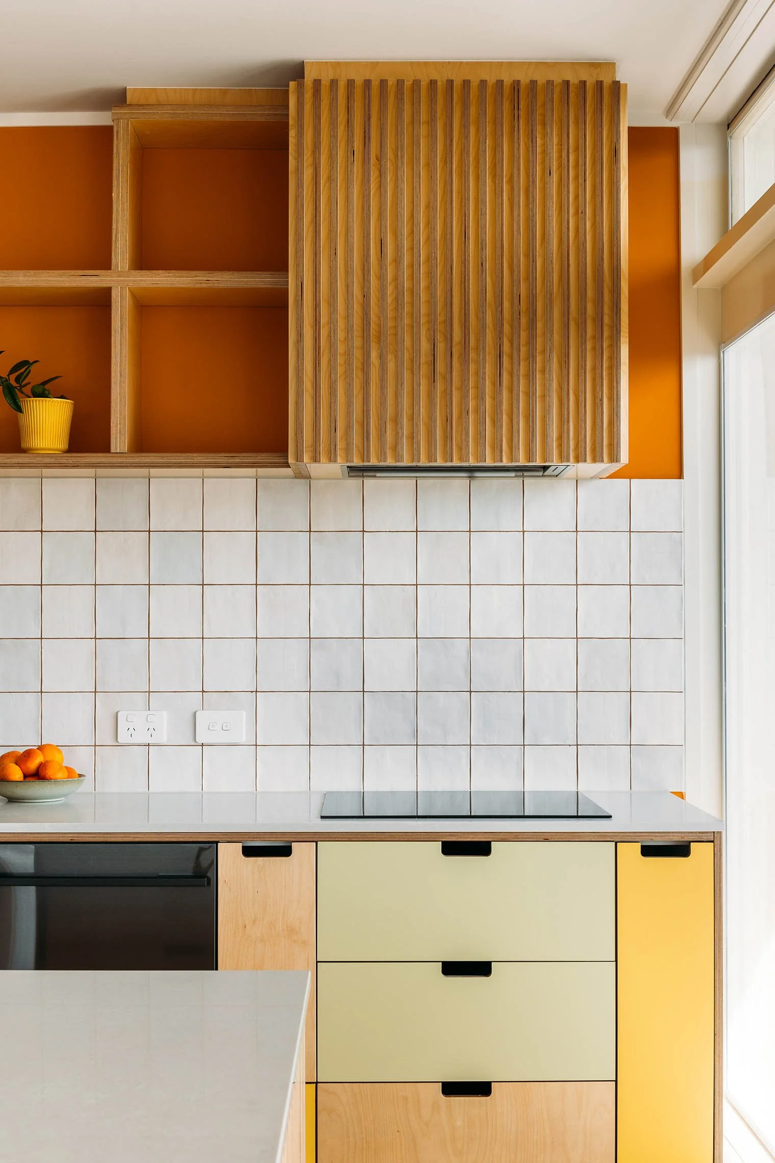Illustration of Penthouse Apartment Kitchen Cabinet Features