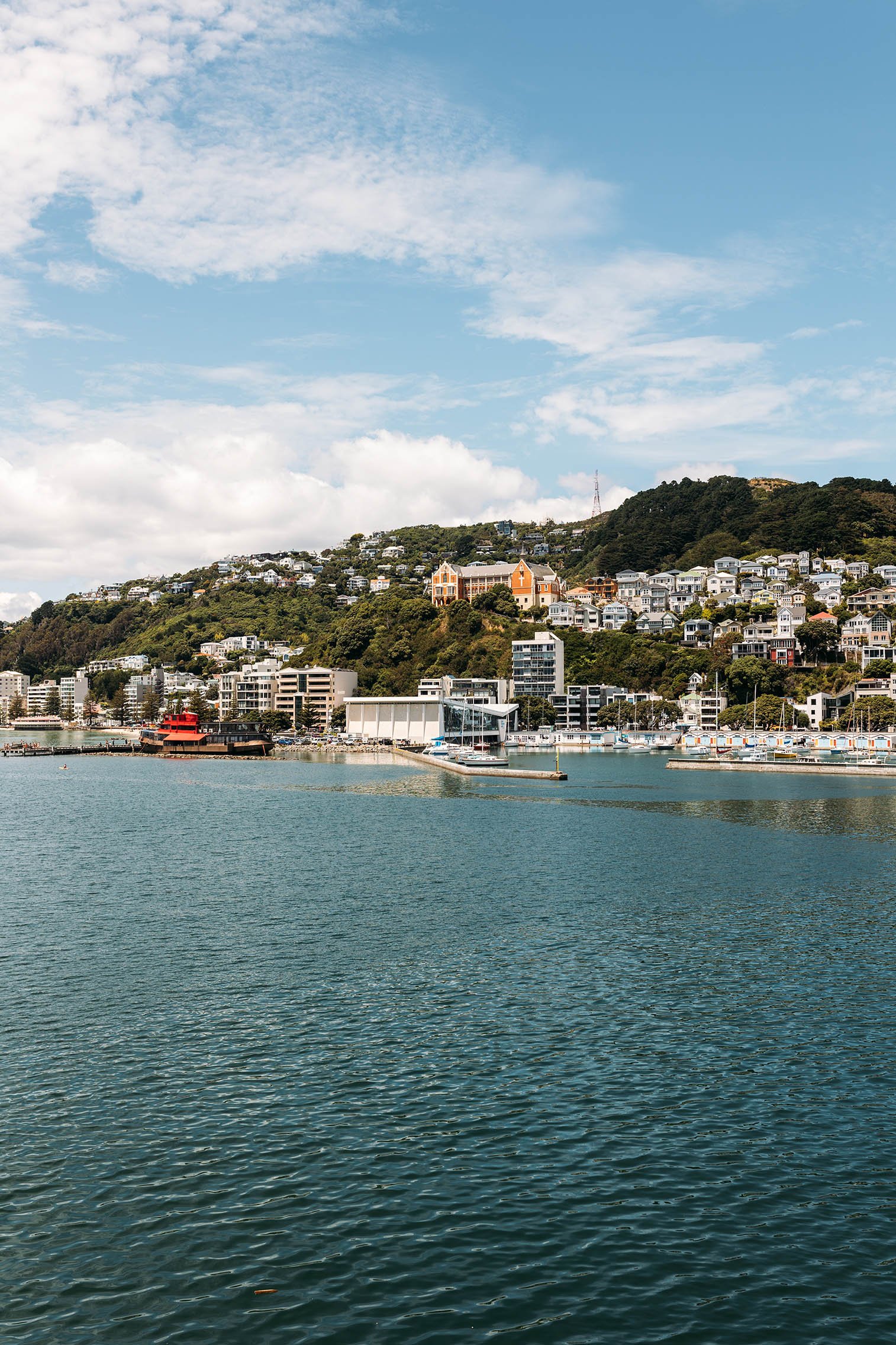 Wellington Waterfront Apartment - Balcony View