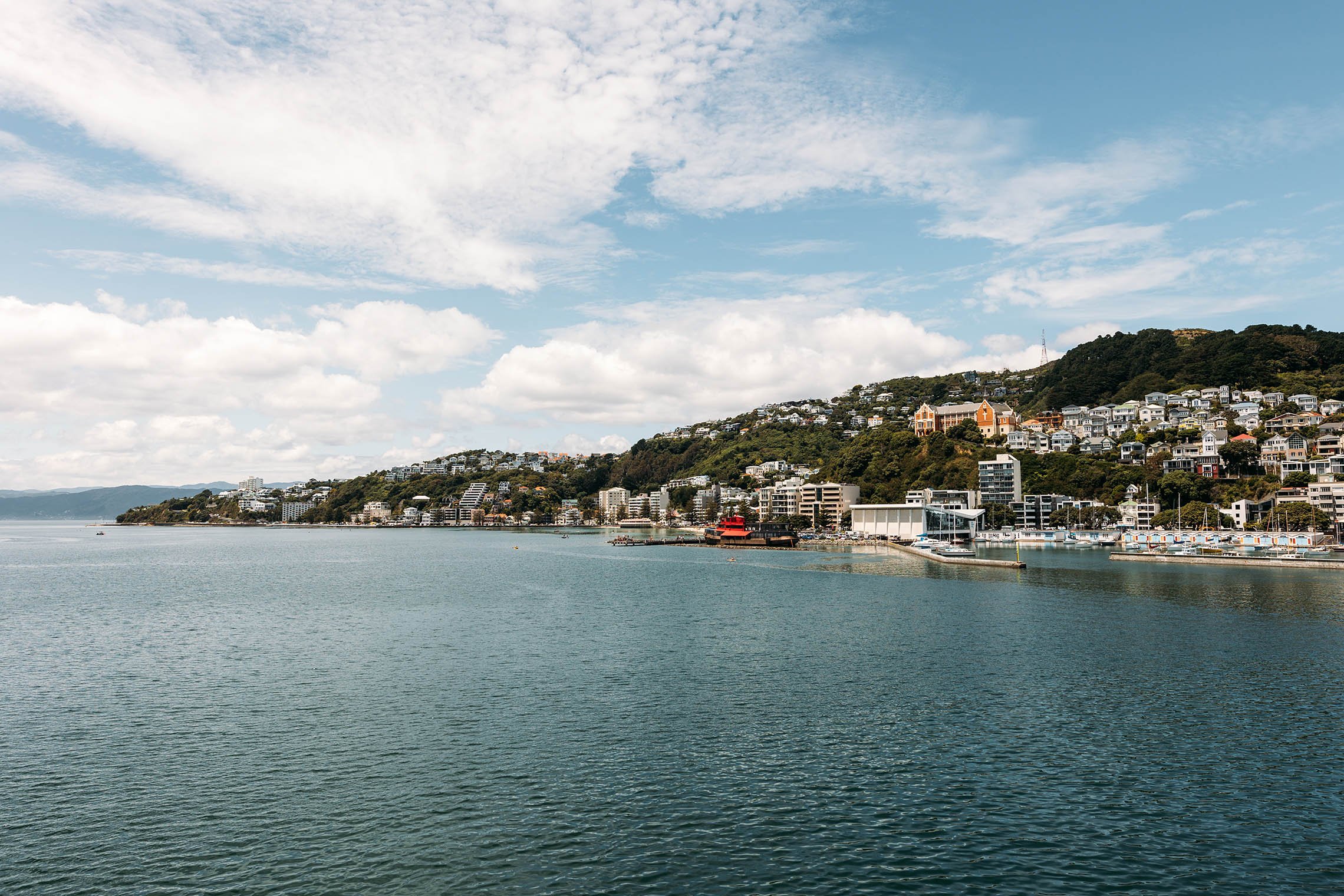 Wellington Waterfront Apartment - Balcony Views
