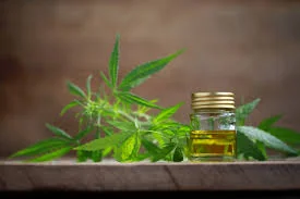 CBD Oil – behind the hype