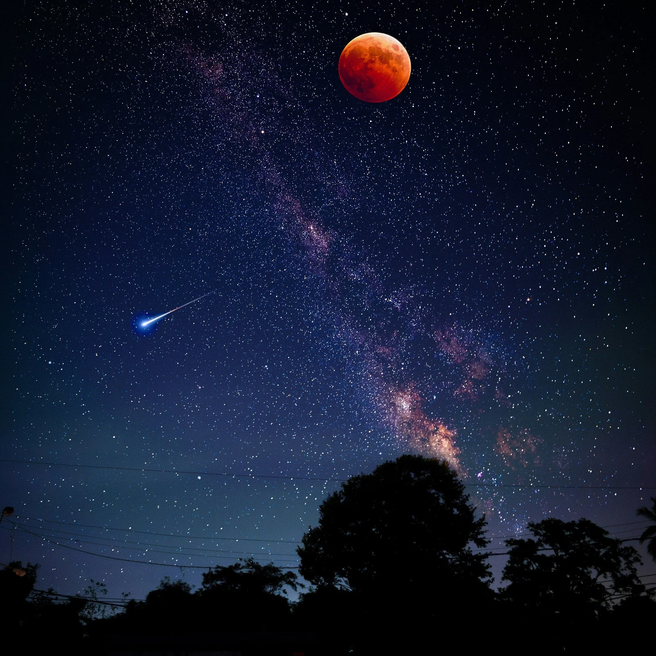  Photo by  Nick Owuor (astro.nic.portraits)  on  Unsplash . Click to enlarge. 